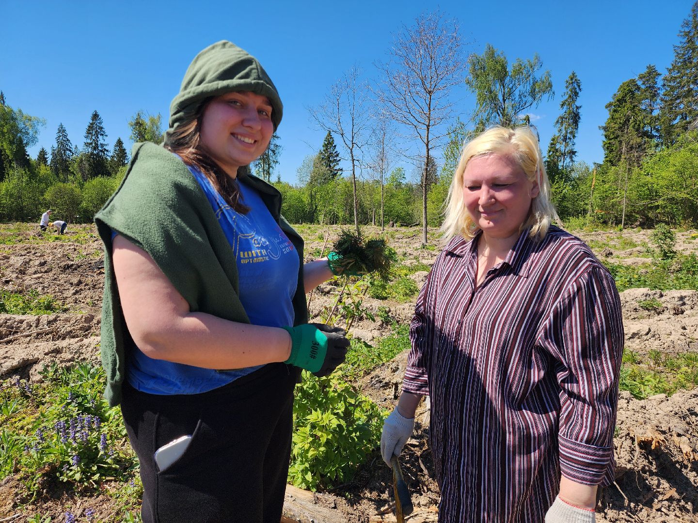 Звенигород, Акции, Посади лес,