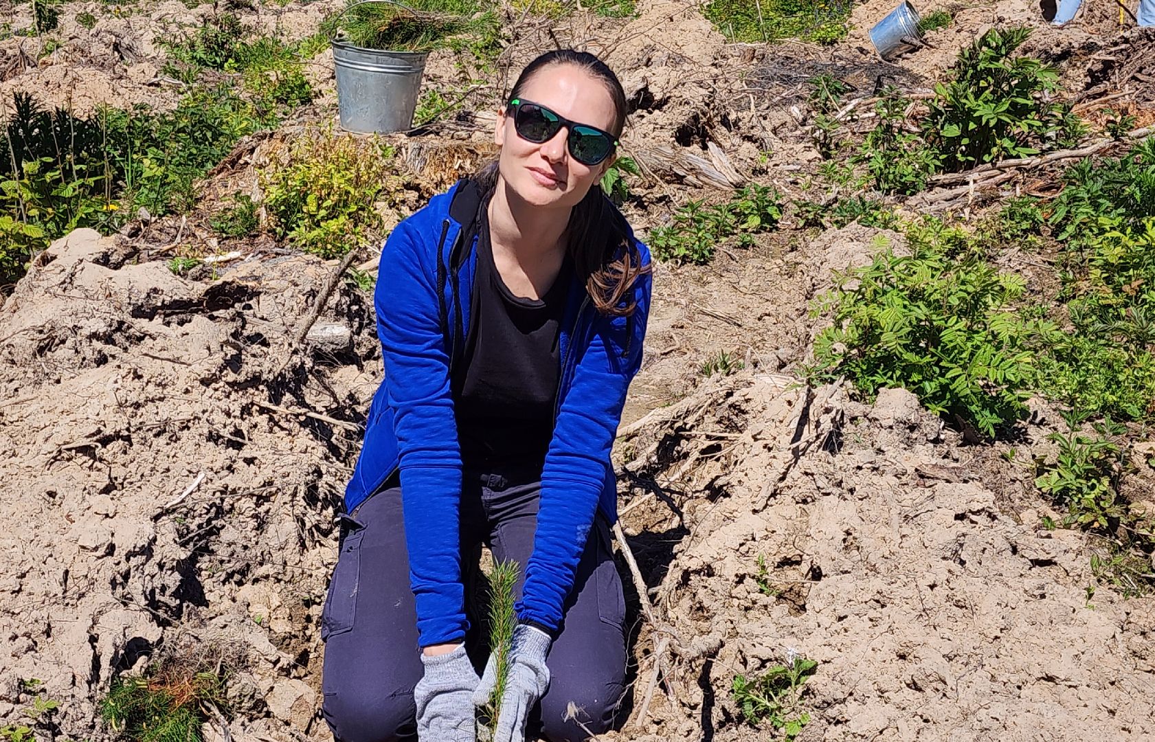 Звенигород, Акции, Посади лес,