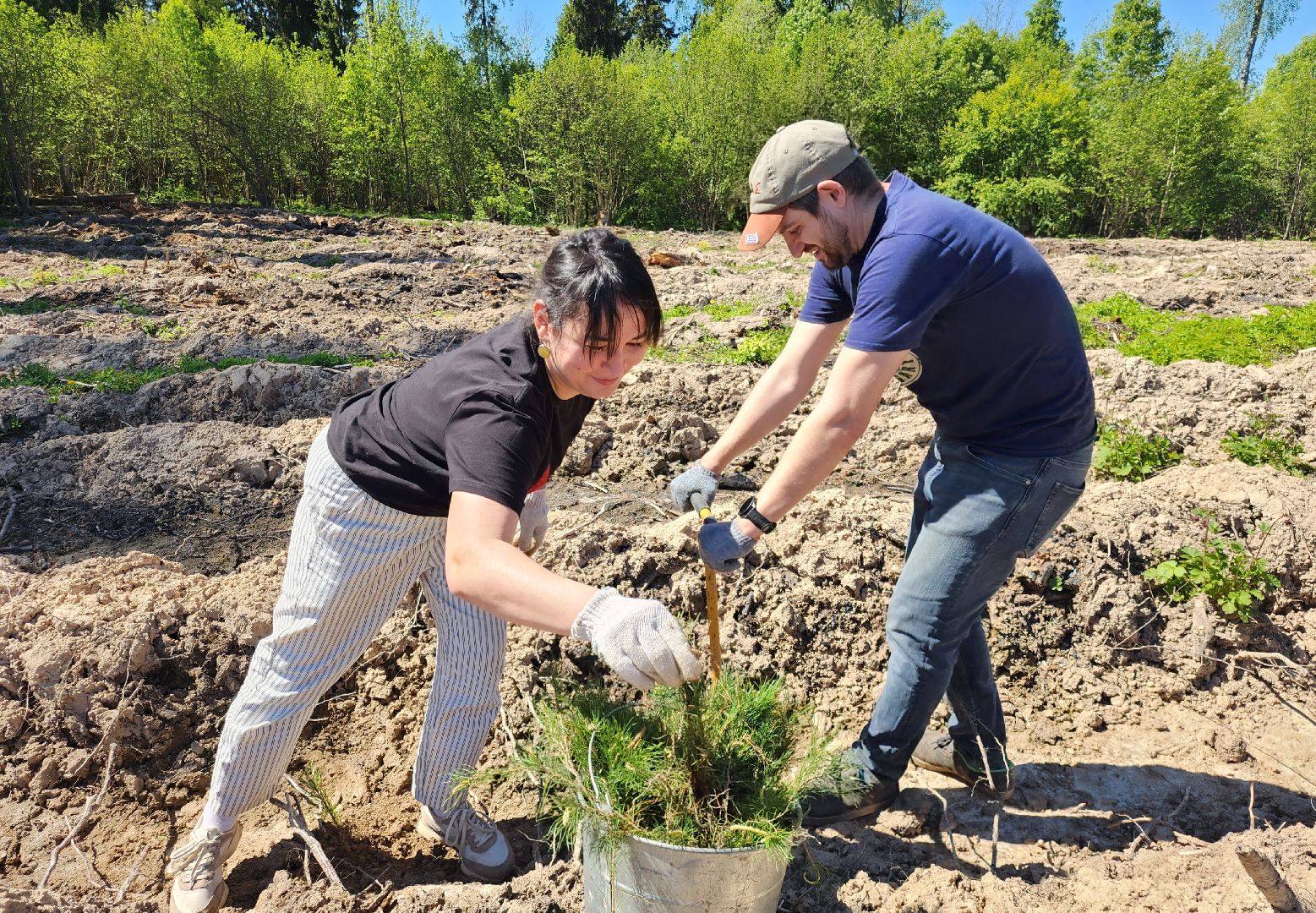 Звенигород, Акции, Посади лес,