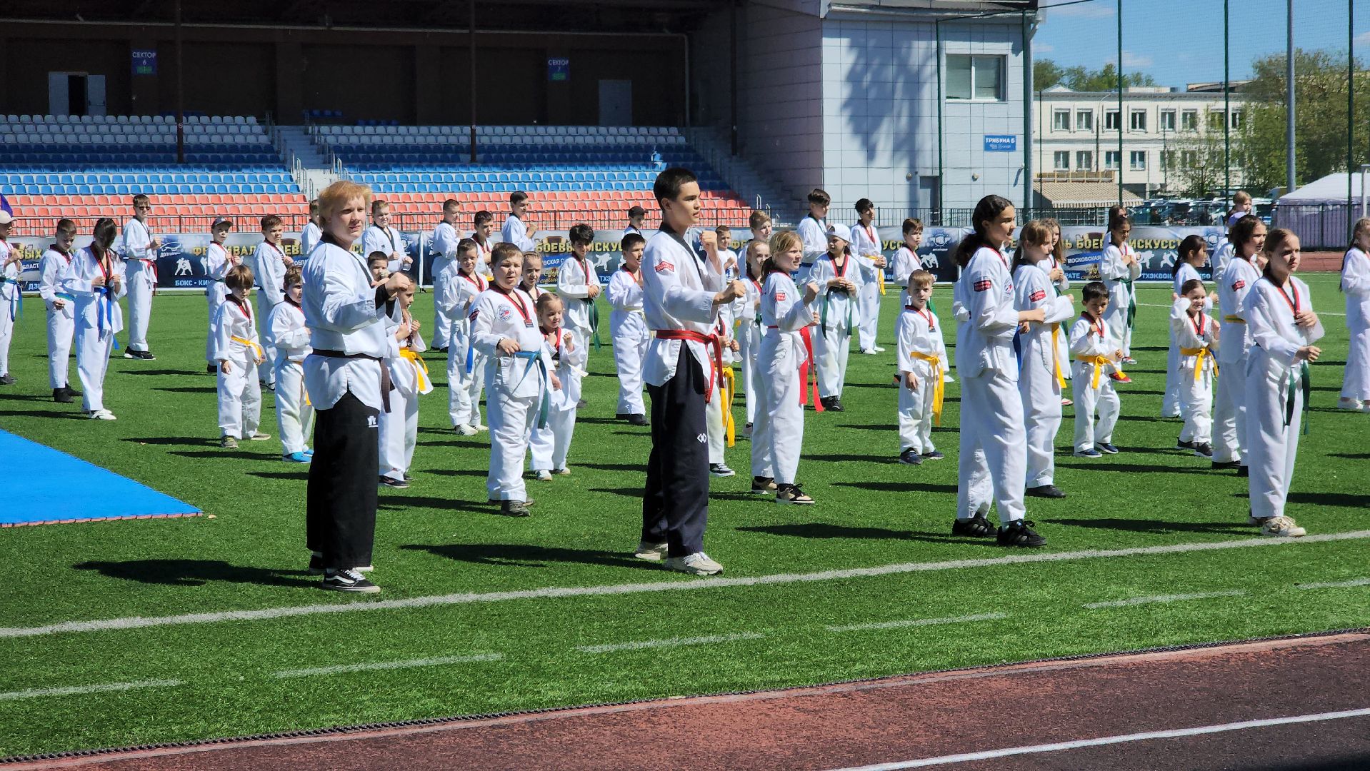 долгопрудный, Фестиваль боевых искусств МО, единоборства, Эридан, ушу, тхэквондо, кинологи Росгвардии,