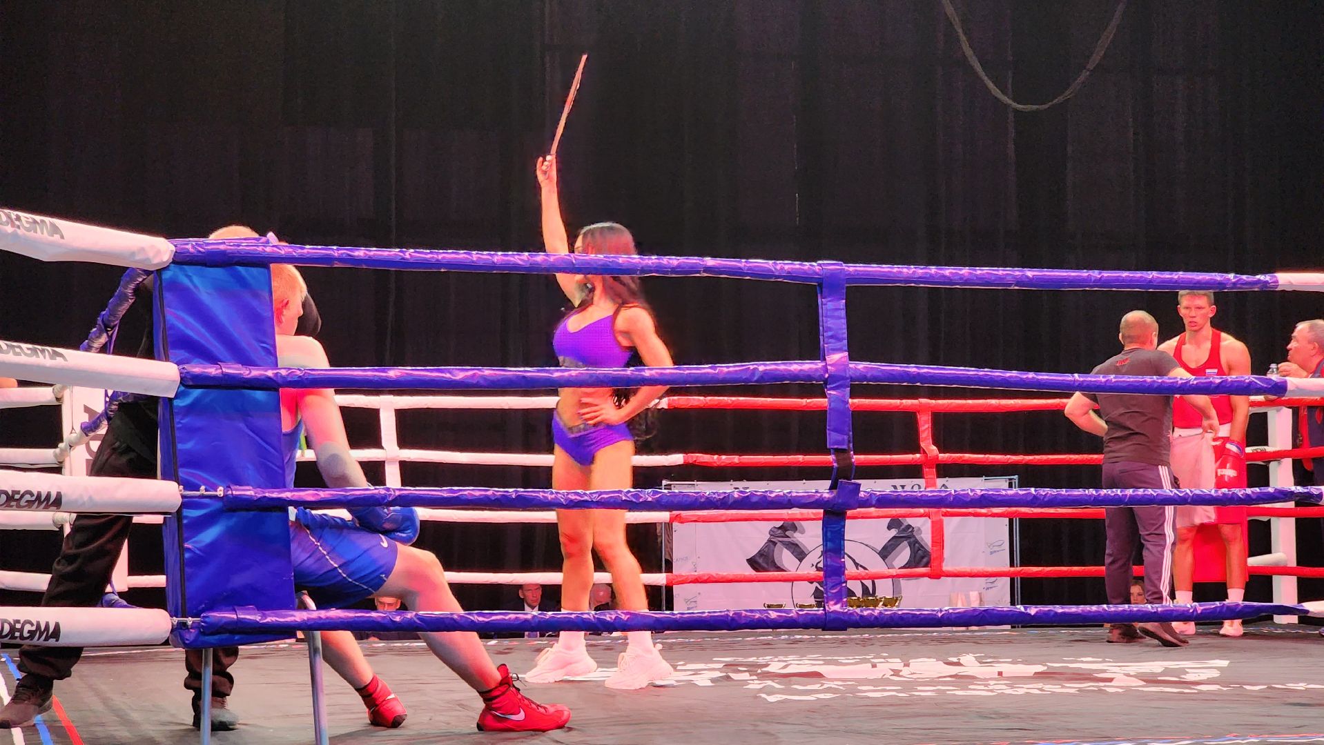 долгопрудный, Кубок главы по единоборствам, тайский бокс, бокс, ММА,поединки, дети, спортсмены,