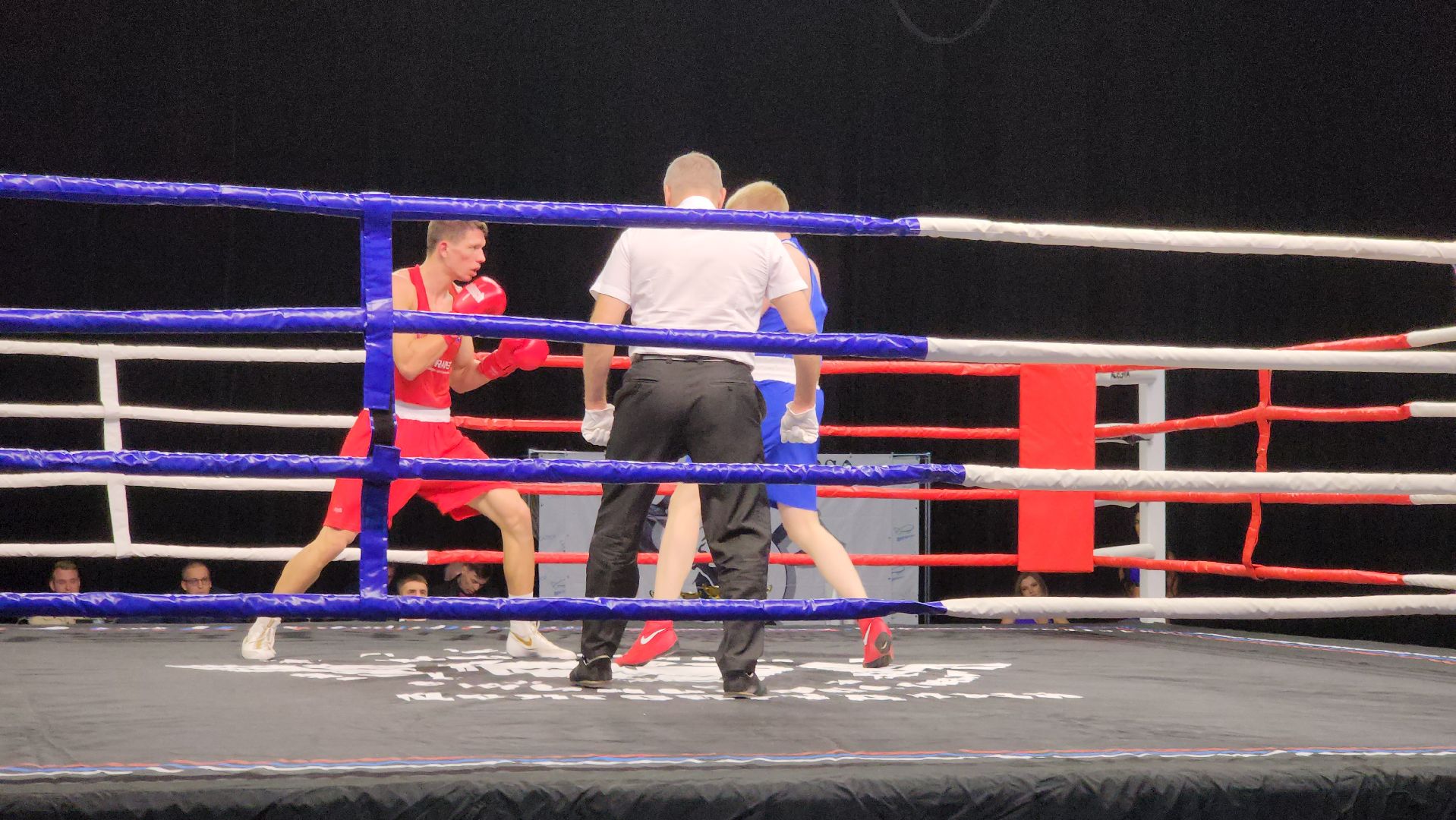 долгопрудный, Кубок главы по единоборствам, тайский бокс, бокс, ММА,поединки, дети, спортсмены,