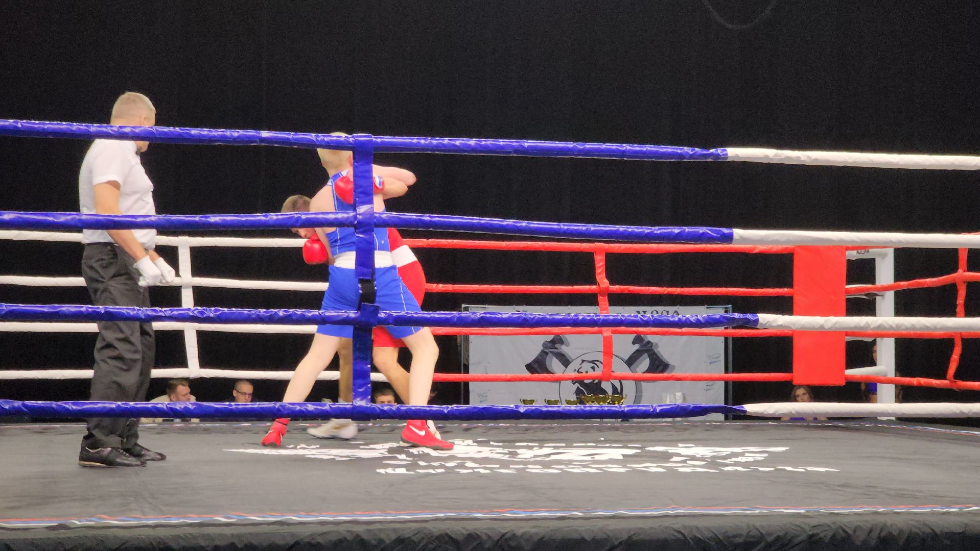 долгопрудный, Кубок главы по единоборствам, тайский бокс, бокс, ММА,поединки, дети, спортсмены,