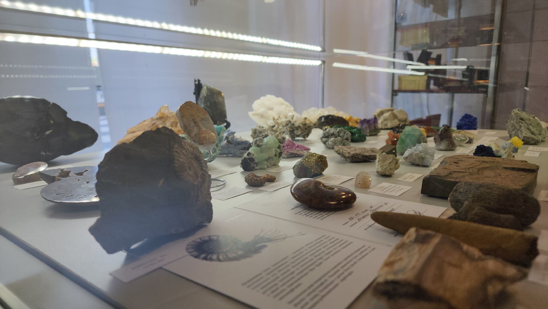 ступино, ночь музеев, культура подмосковья,