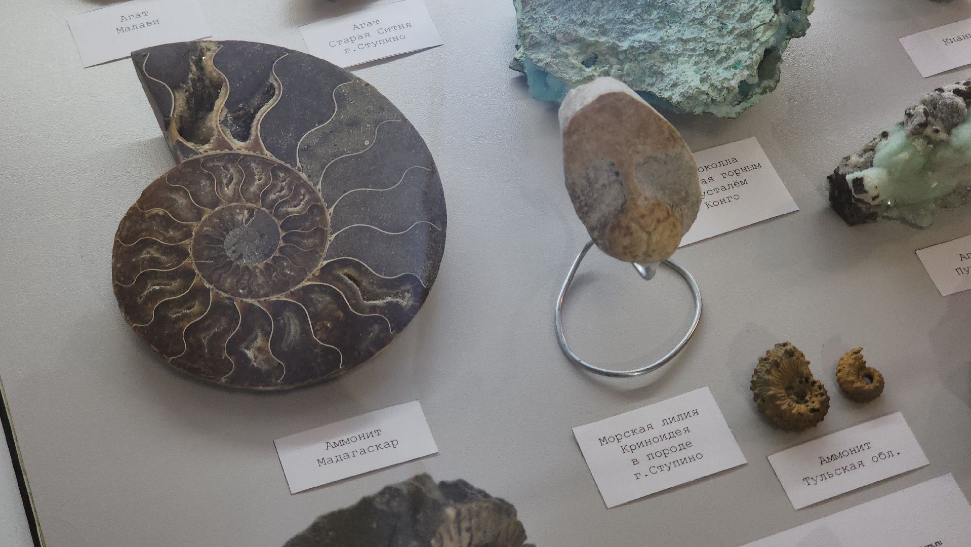 ступино, ночь музеев, культура подмосковья,