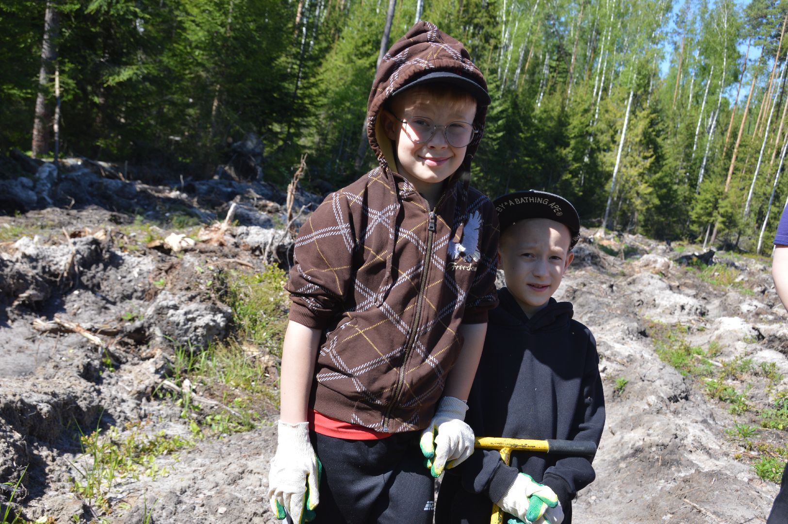 шатура, Мособллес, сад памяти, международная акция Лес Будущего, высадка деревьев, россия 1, вести москва, вести подмосковье,