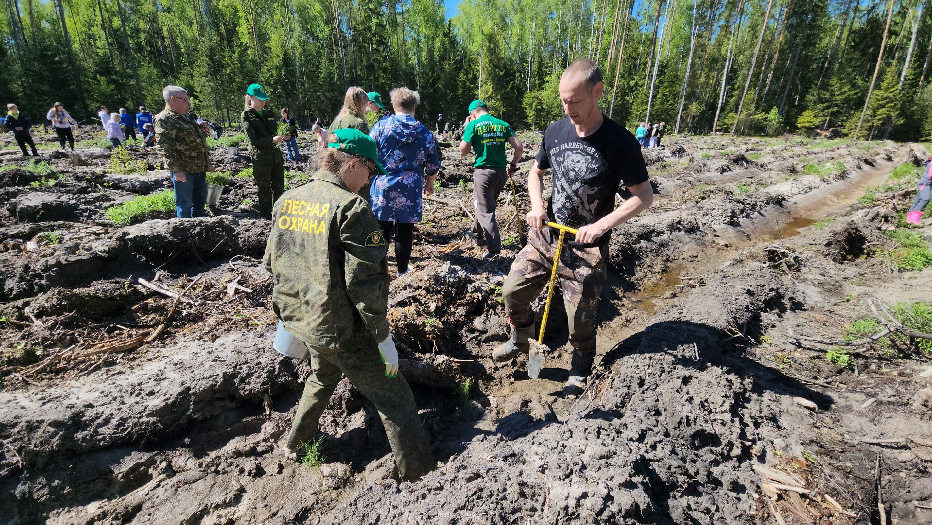 шатура, Мособллес, сад памяти, международная акция Лес Будущего, высадка деревьев, россия 1, вести москва, вести подмосковье,