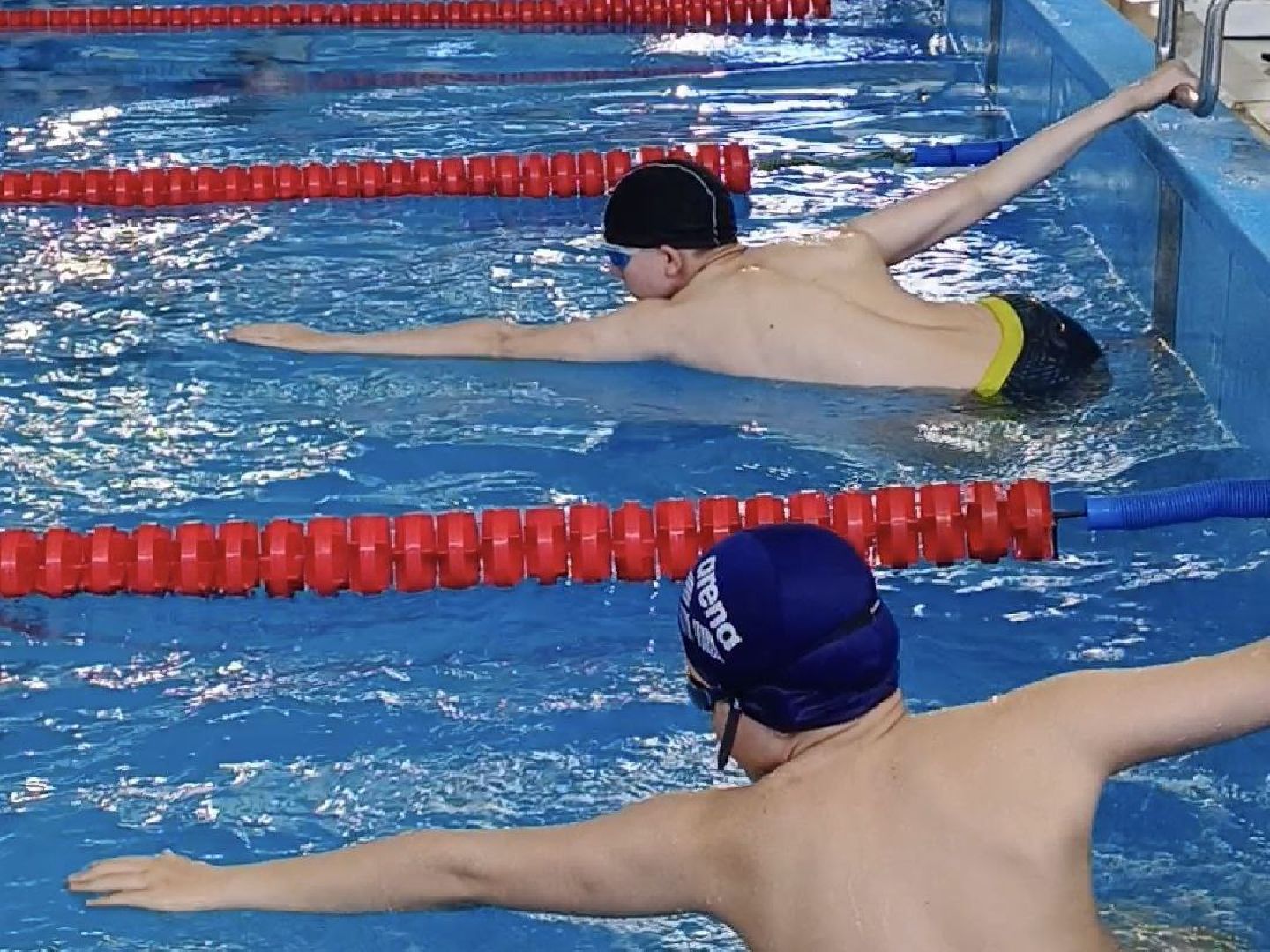 Солнечногорск, соревнования, плавание, спортсмены, фок,