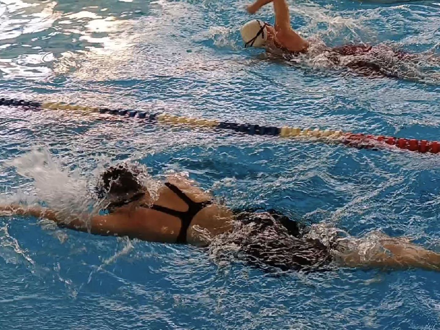 Солнечногорск, соревнования, плавание, спортсмены, фок,