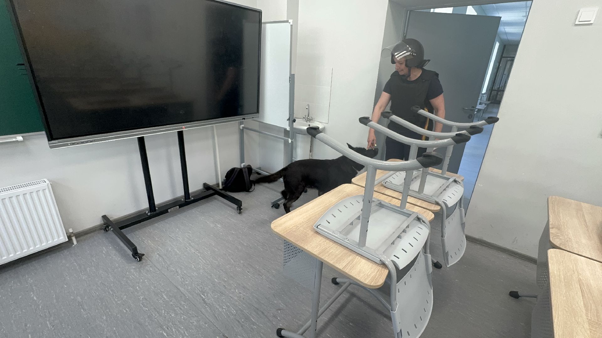 Солнечногорск, Всероссийские учения, лицей 7, силовые структуры, школьники,