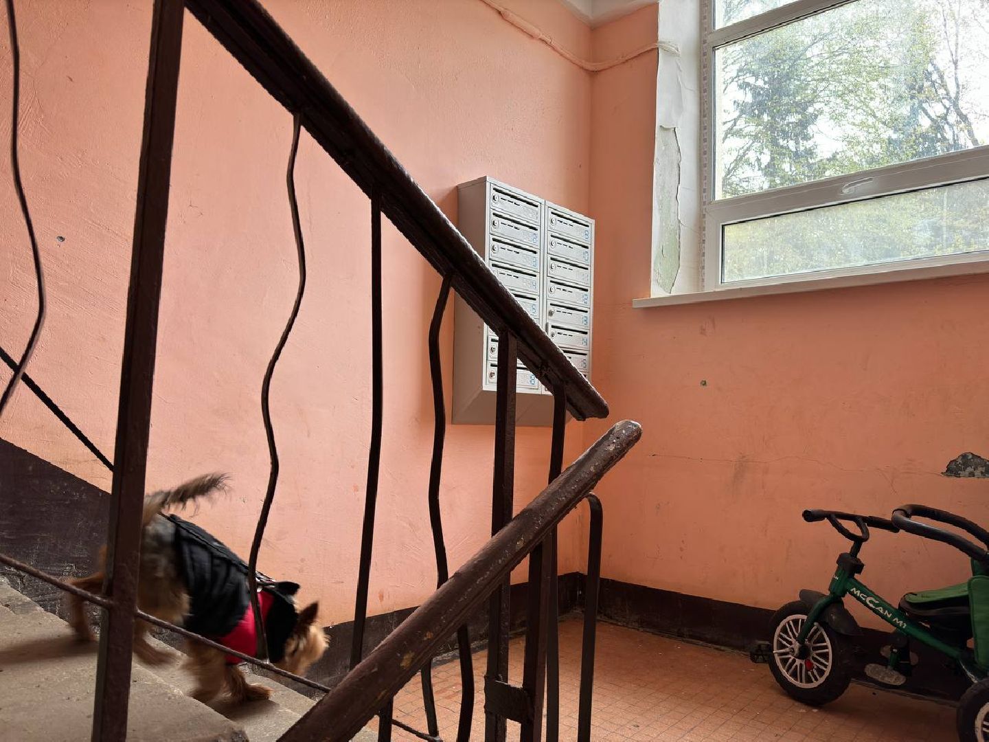 подьезды, ремонт подъездов, восход,