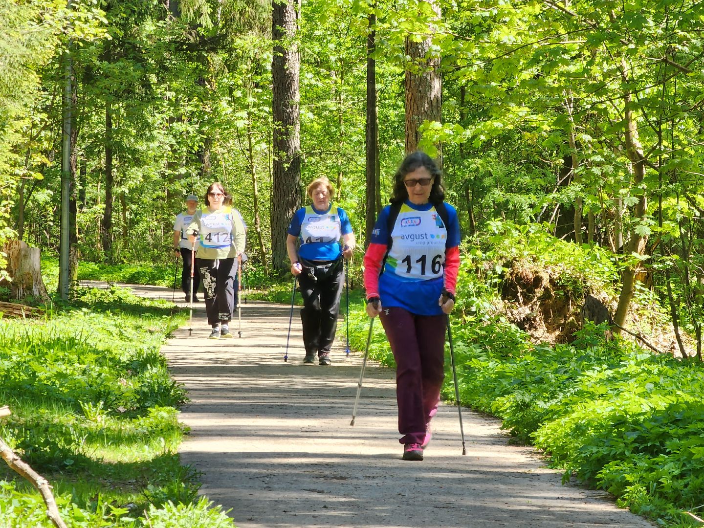 Черноголовка, Марафон, скандинавская ходьба,