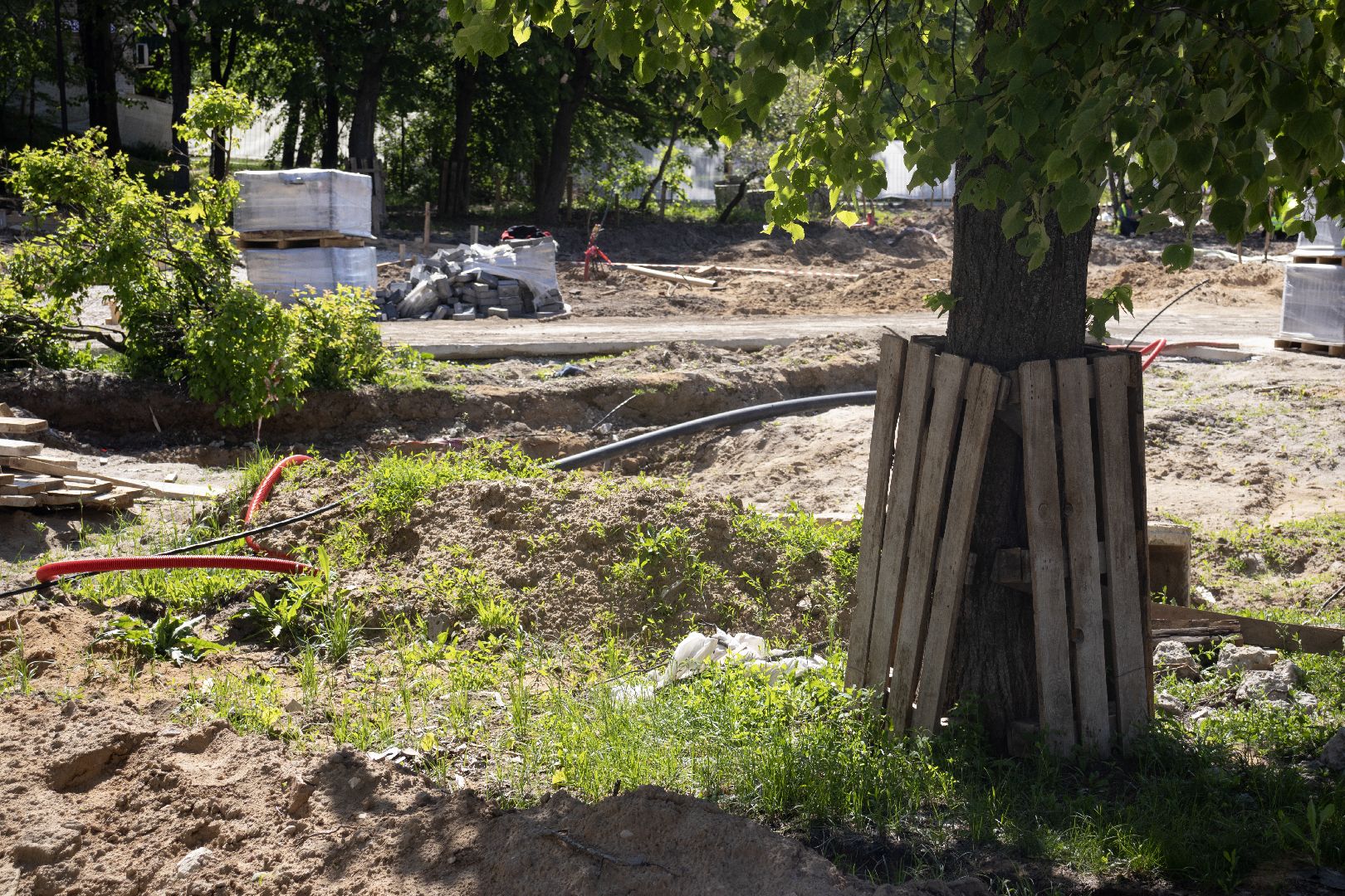дзержинский, сквер Громцева, благоустройство 2024,