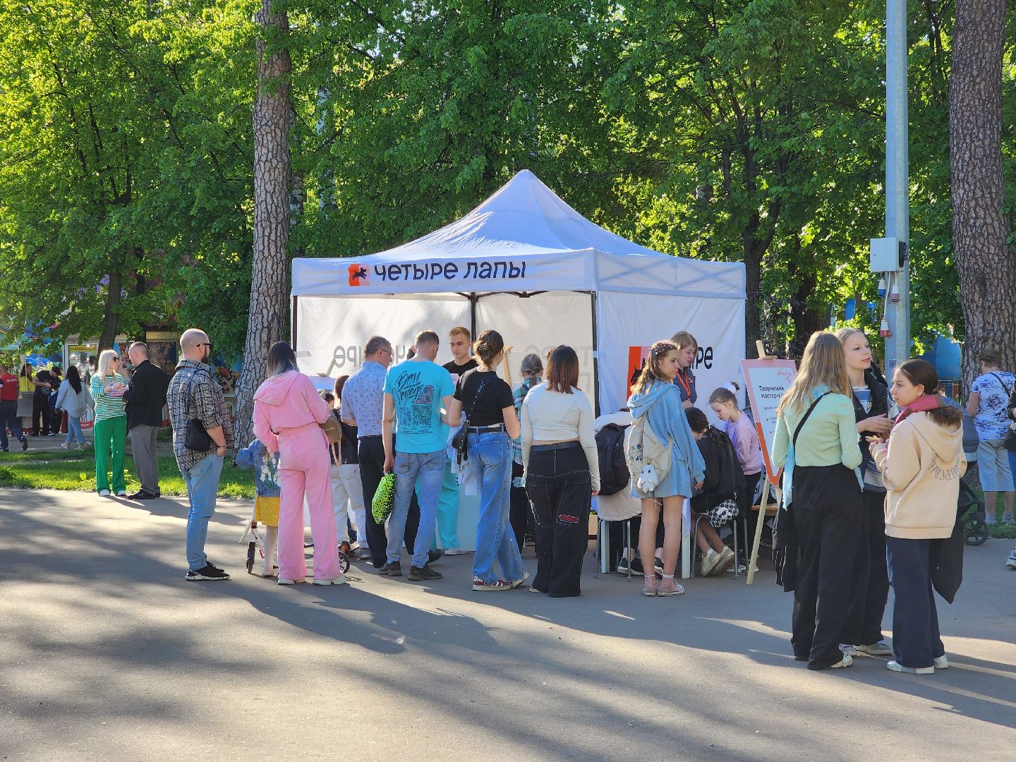 ногинск, фестиваль домашних животных, питомцы, фонд, благотворительность, кошки, собаки,