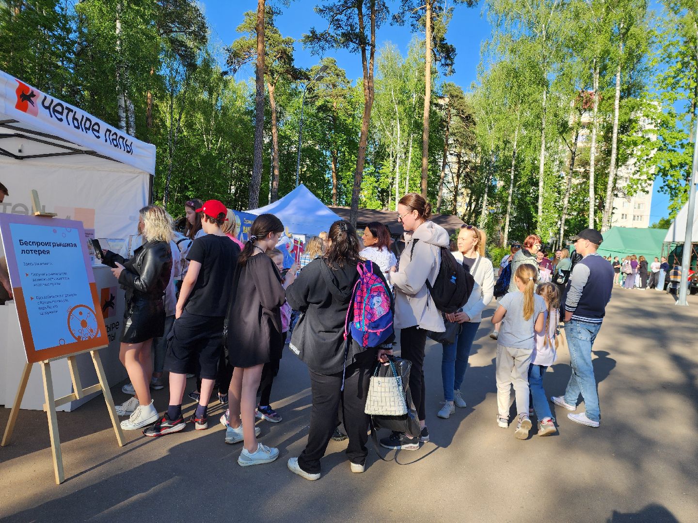 ногинск, фестиваль домашних животных, питомцы, фонд, благотворительность, кошки, собаки,