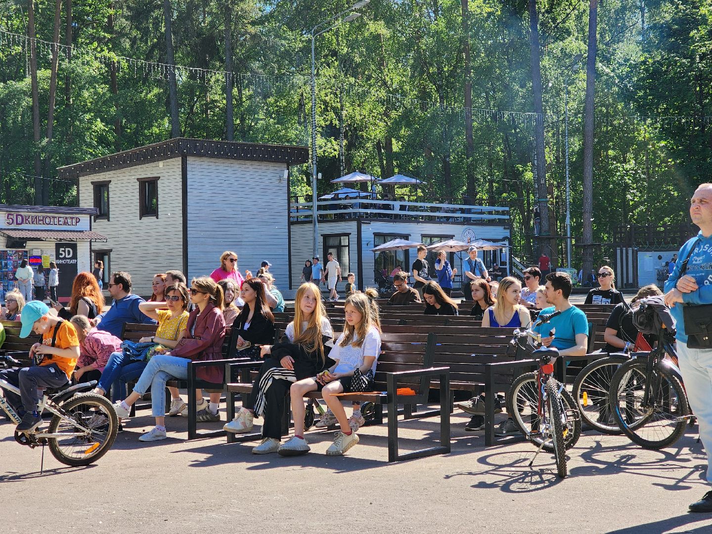 ногинск, фестиваль домашних животных, питомцы, фонд, благотворительность, кошки, собаки,