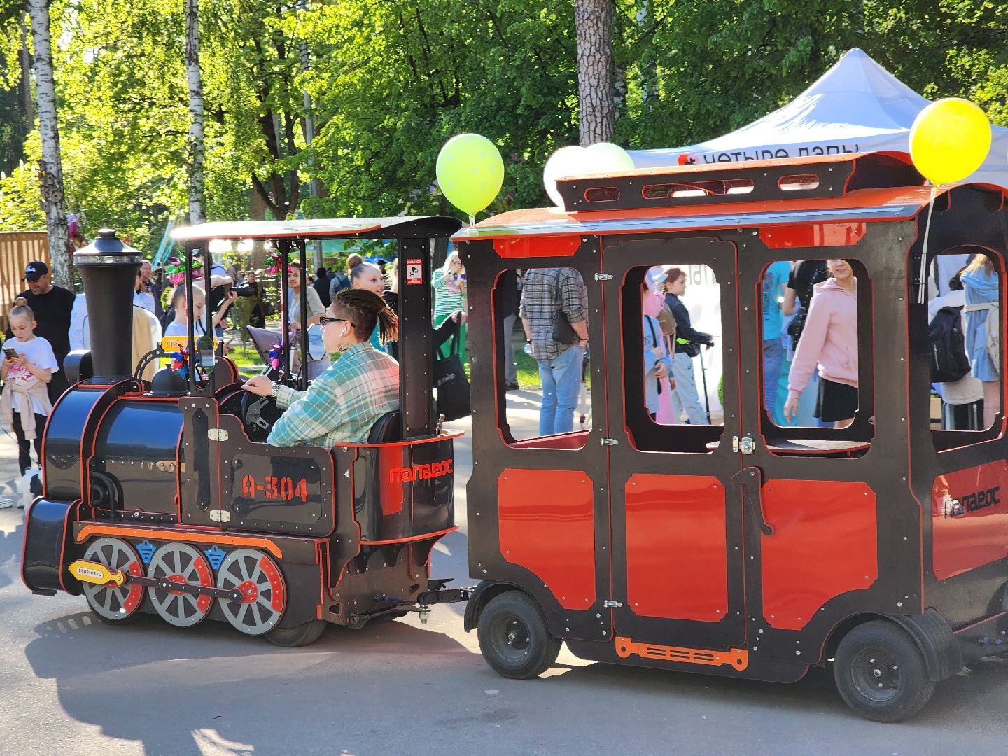 ногинск, фестиваль домашних животных, питомцы, фонд, благотворительность, кошки, собаки,