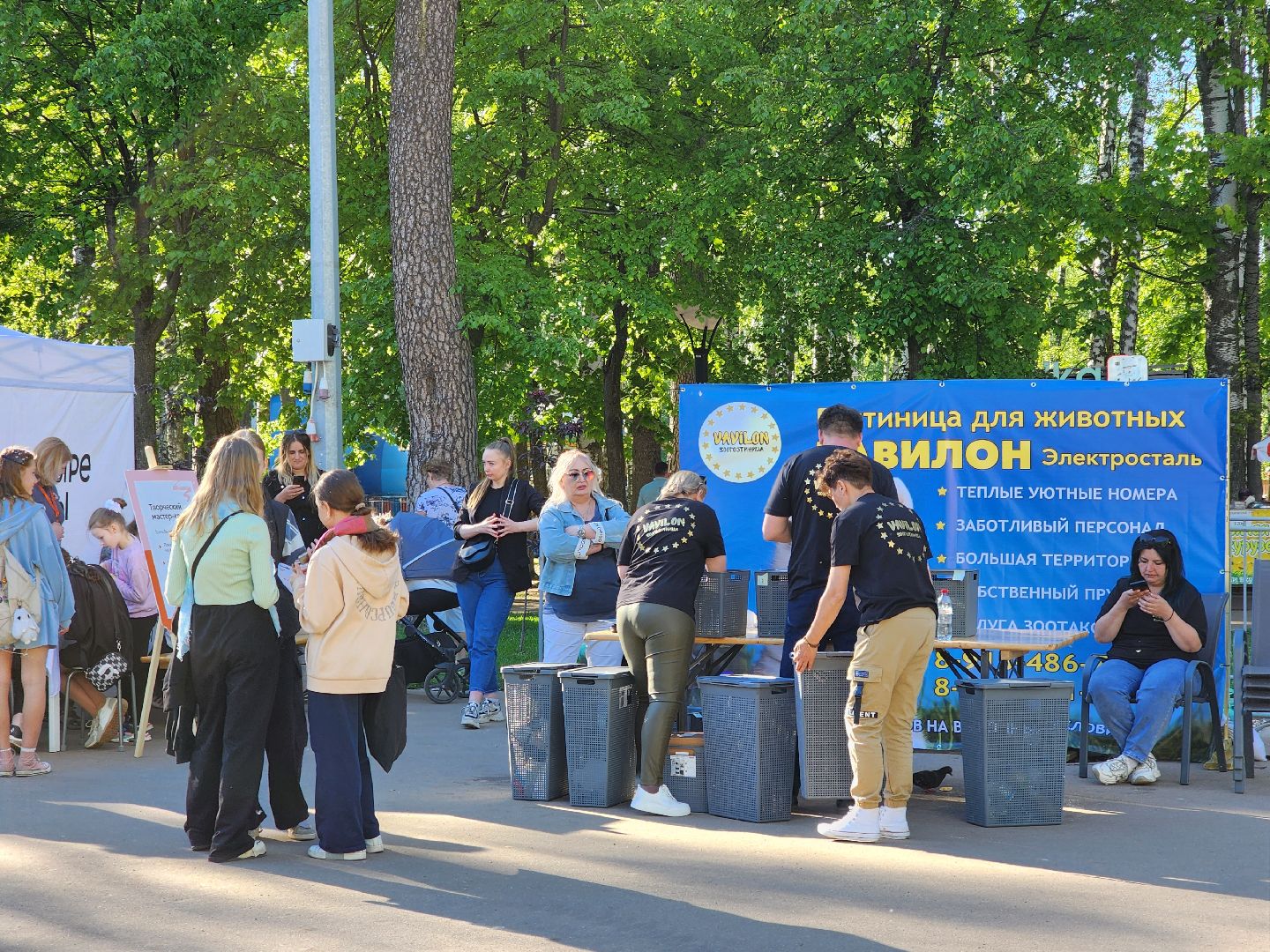 ногинск, фестиваль домашних животных, питомцы, фонд, благотворительность, кошки, собаки,