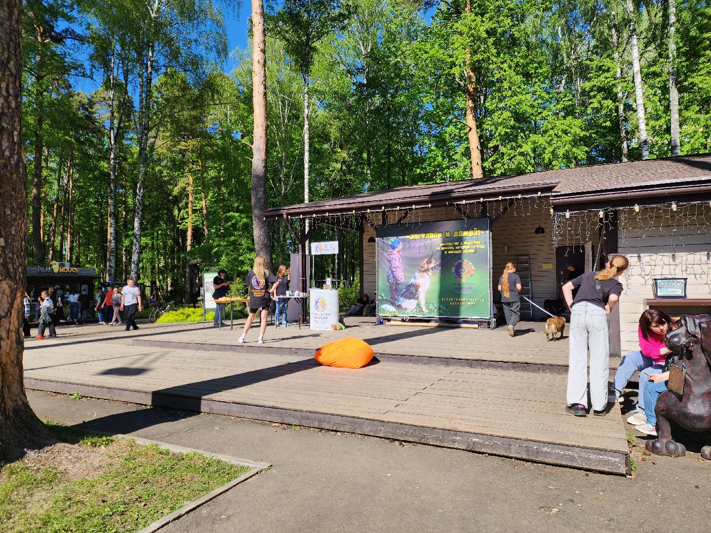 ногинск, фестиваль домашних животных, питомцы, фонд, благотворительность, кошки, собаки,