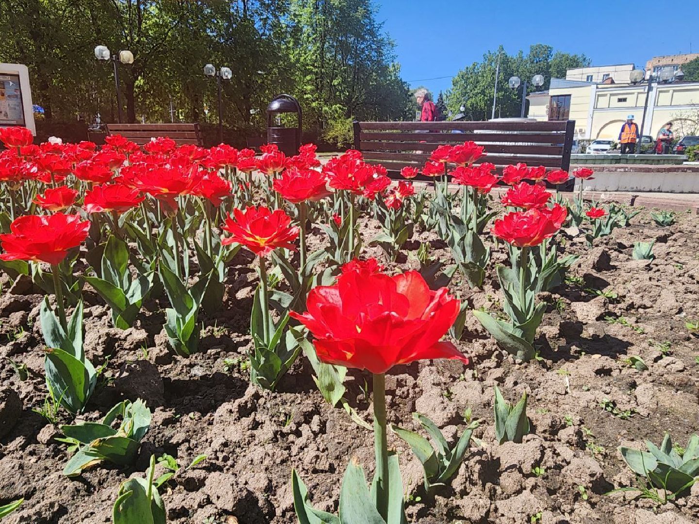 пущино, серпухов, благоустройство,
