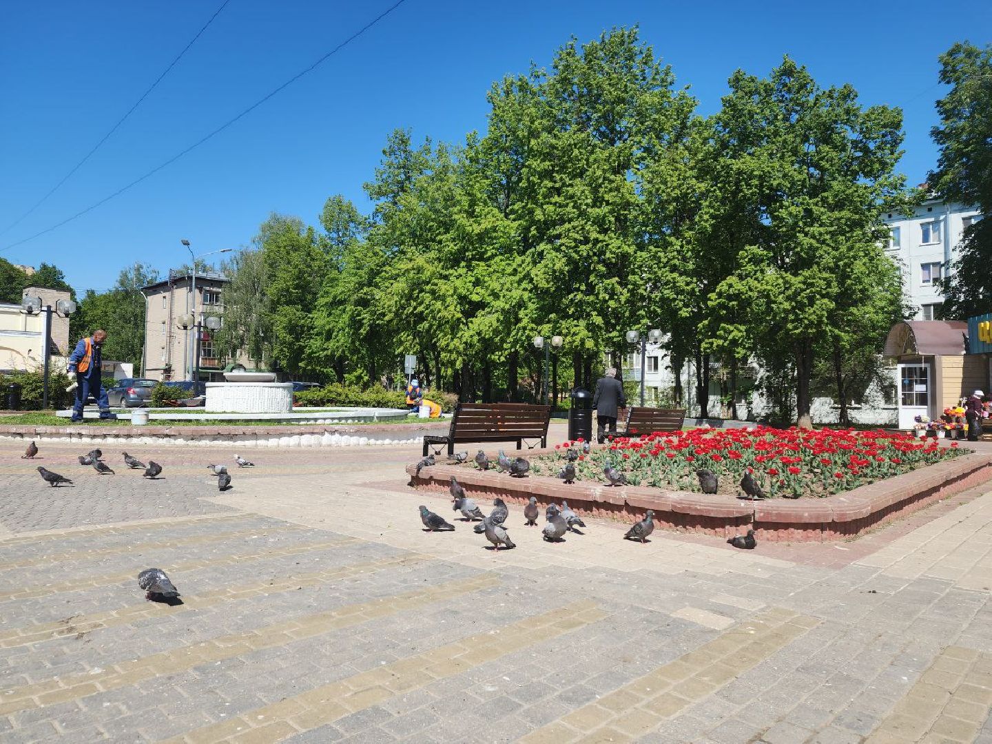 пущино, серпухов, благоустройство,