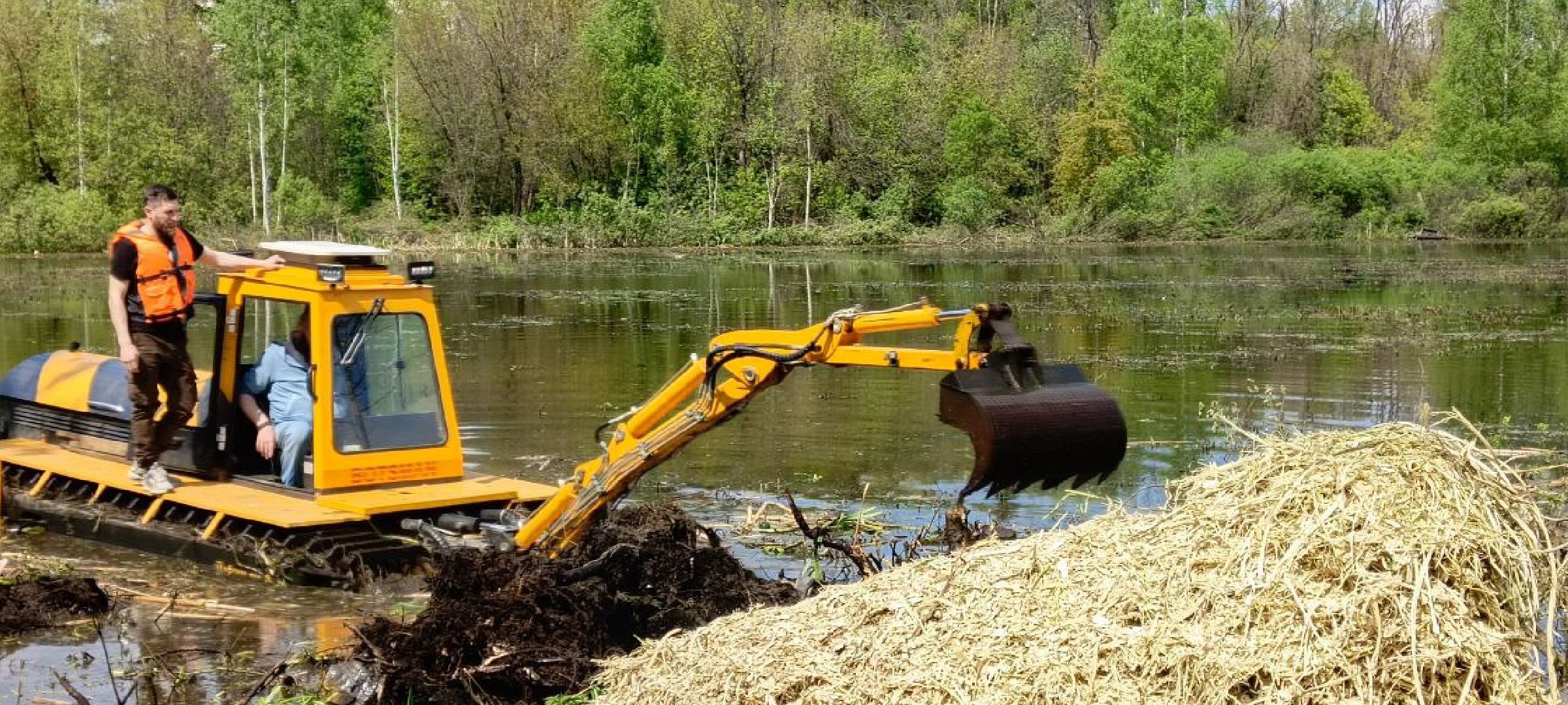 Дмитров, Очистка прудов,
