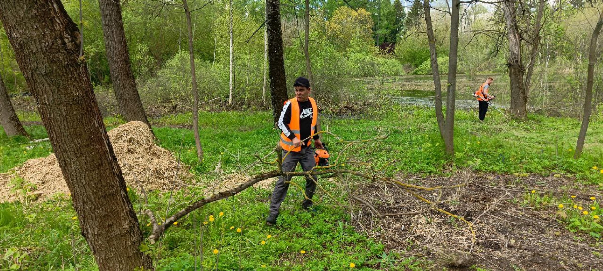 Дмитров, Очистка прудов,