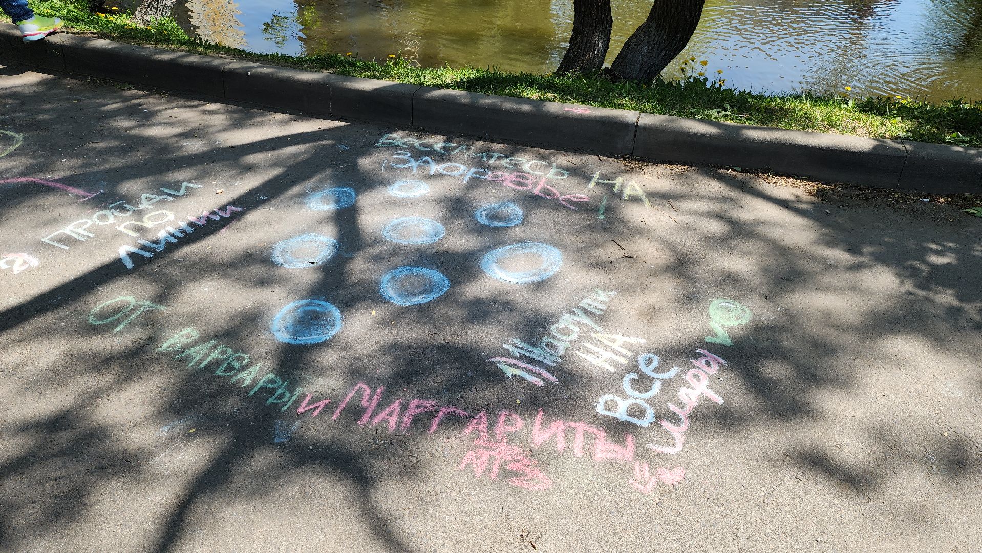 красногорск, пруд, утки,экология,