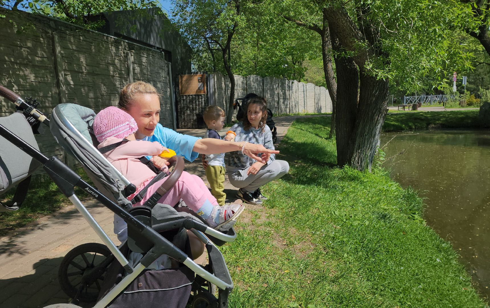 красногорск, пруд, утки,экология,