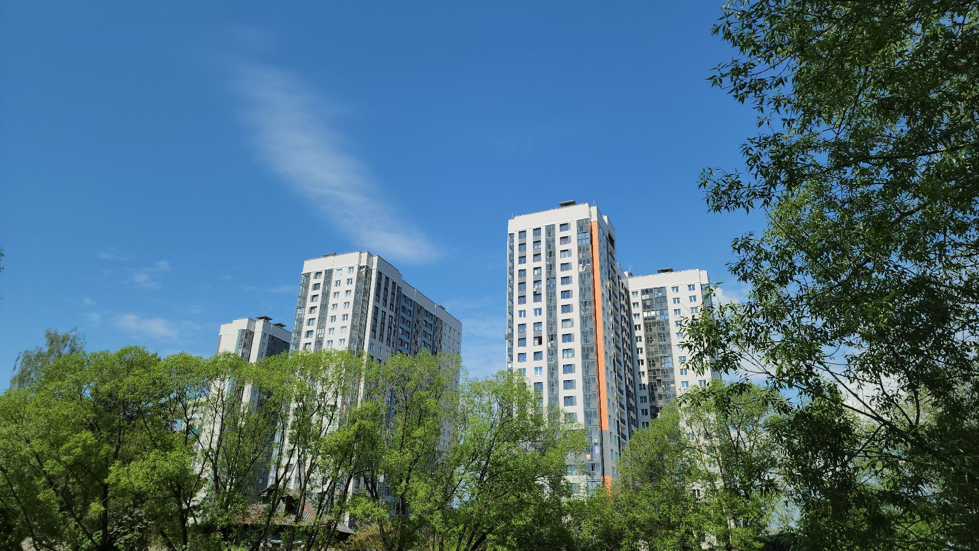 красногорск, пруд, утки,экология,