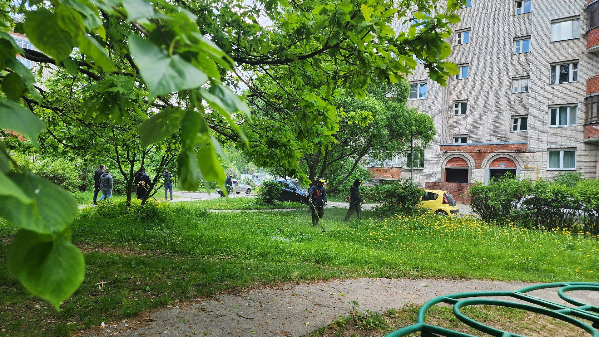 благоустройство, комбинат благоустройства, протвино, окос травы, порядок,