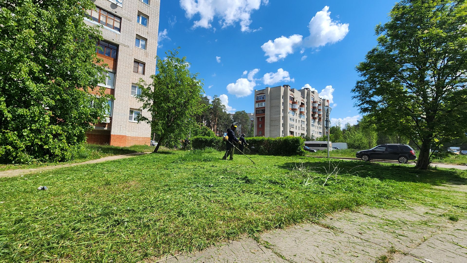 благоустройство, комбинат благоустройства, протвино, окос травы, порядок,