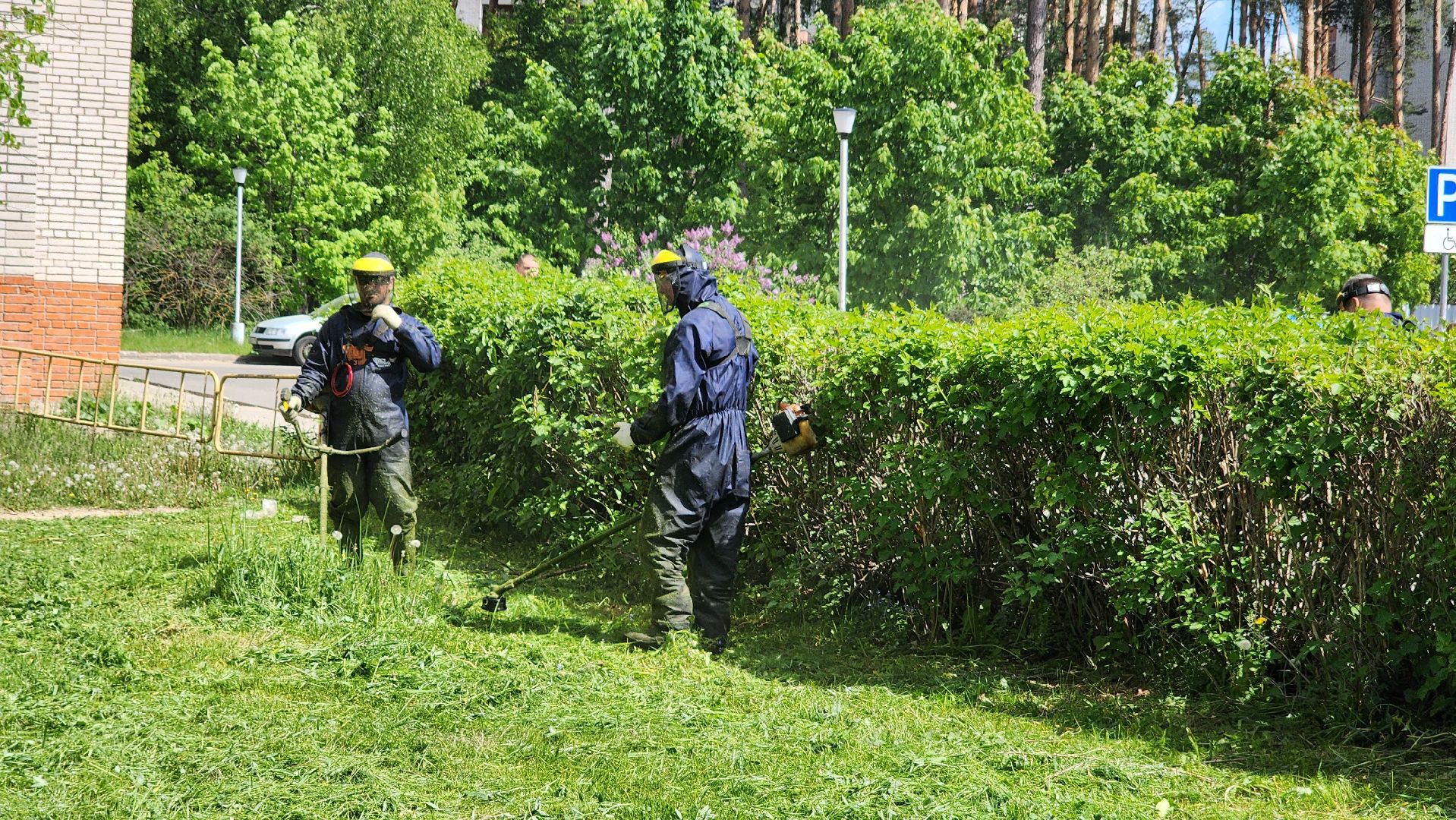 благоустройство, комбинат благоустройства, протвино, окос травы, порядок,