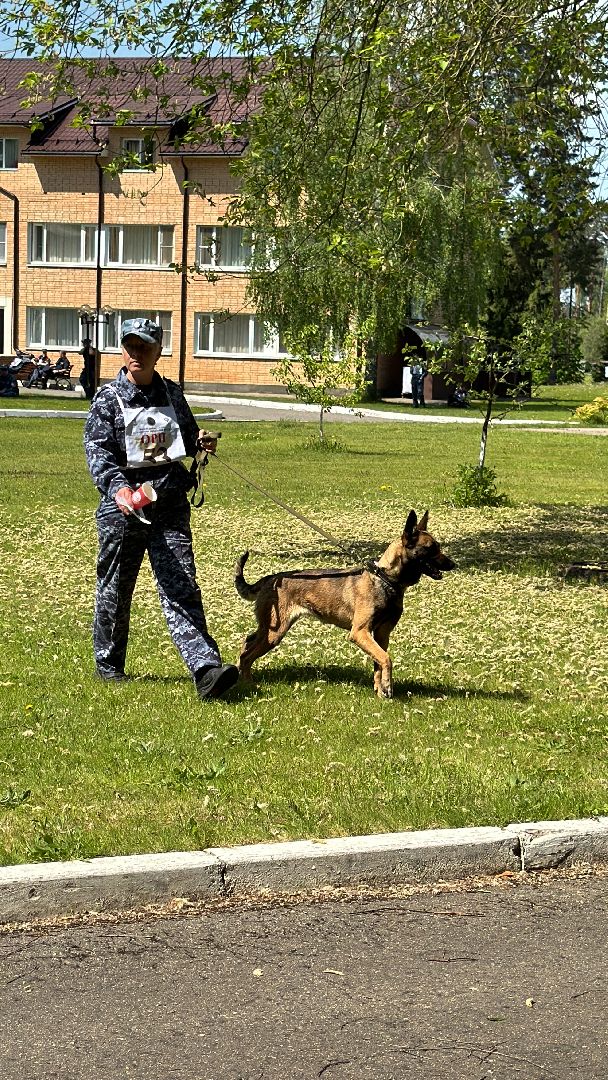 Одинцово, уфсин мо, Кинологи, Чемпионат кинологов,