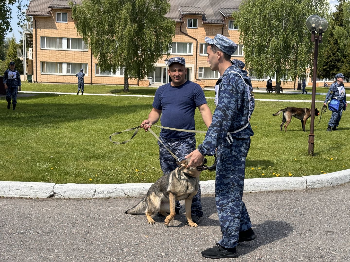 Одинцово, уфсин мо, Кинологи, Чемпионат кинологов,