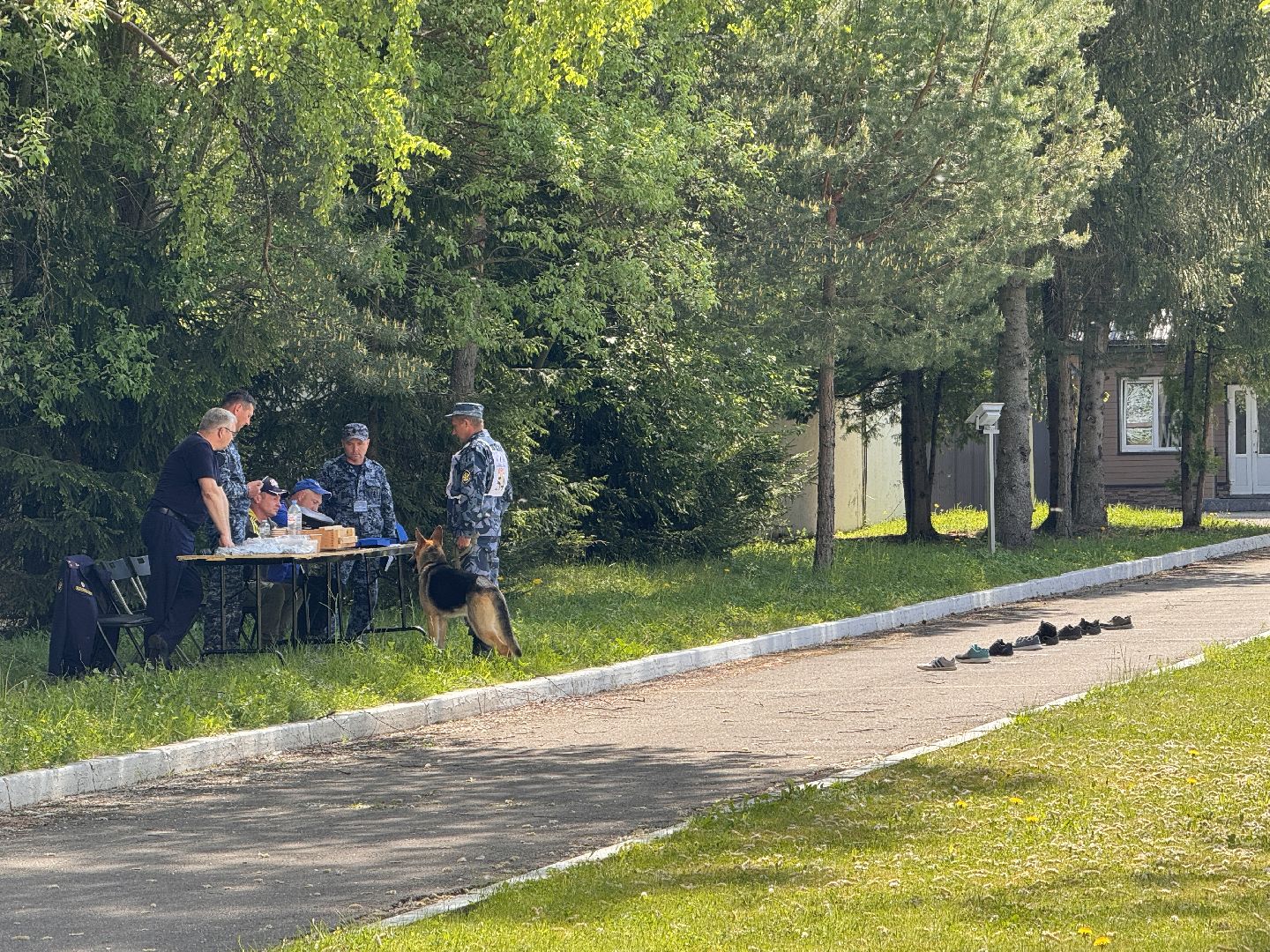 Одинцово, уфсин мо, Кинологи, Чемпионат кинологов,