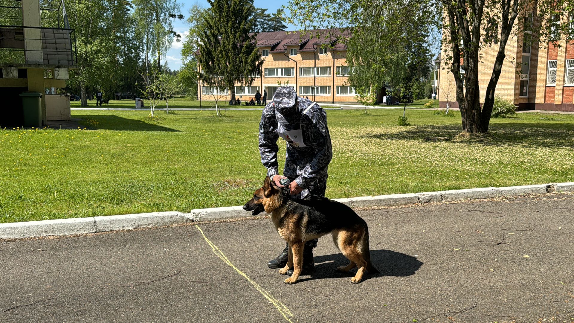 Одинцово, уфсин мо, Кинологи, Чемпионат кинологов,