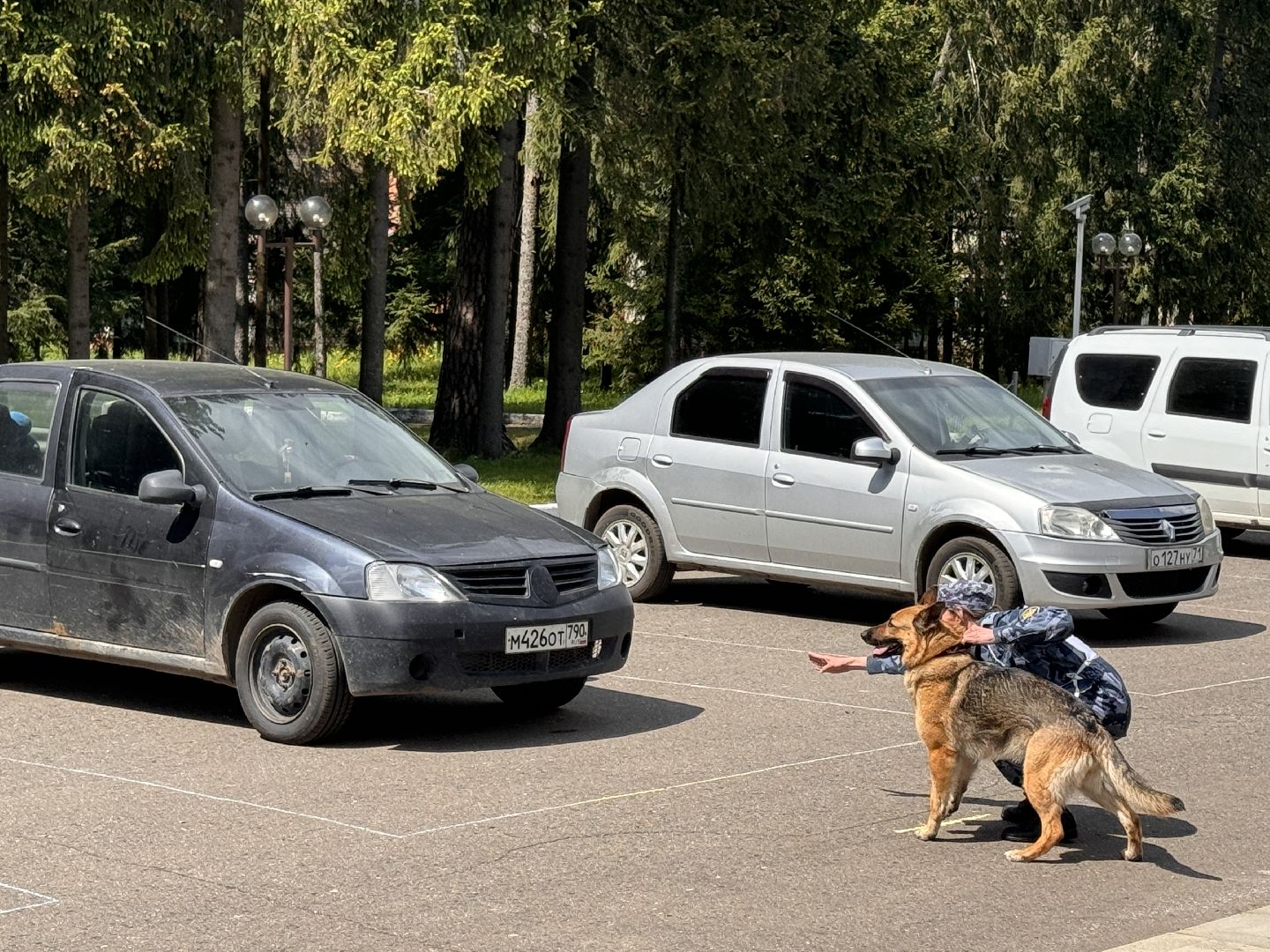 Одинцово, уфсин мо, Кинологи, Чемпионат кинологов,