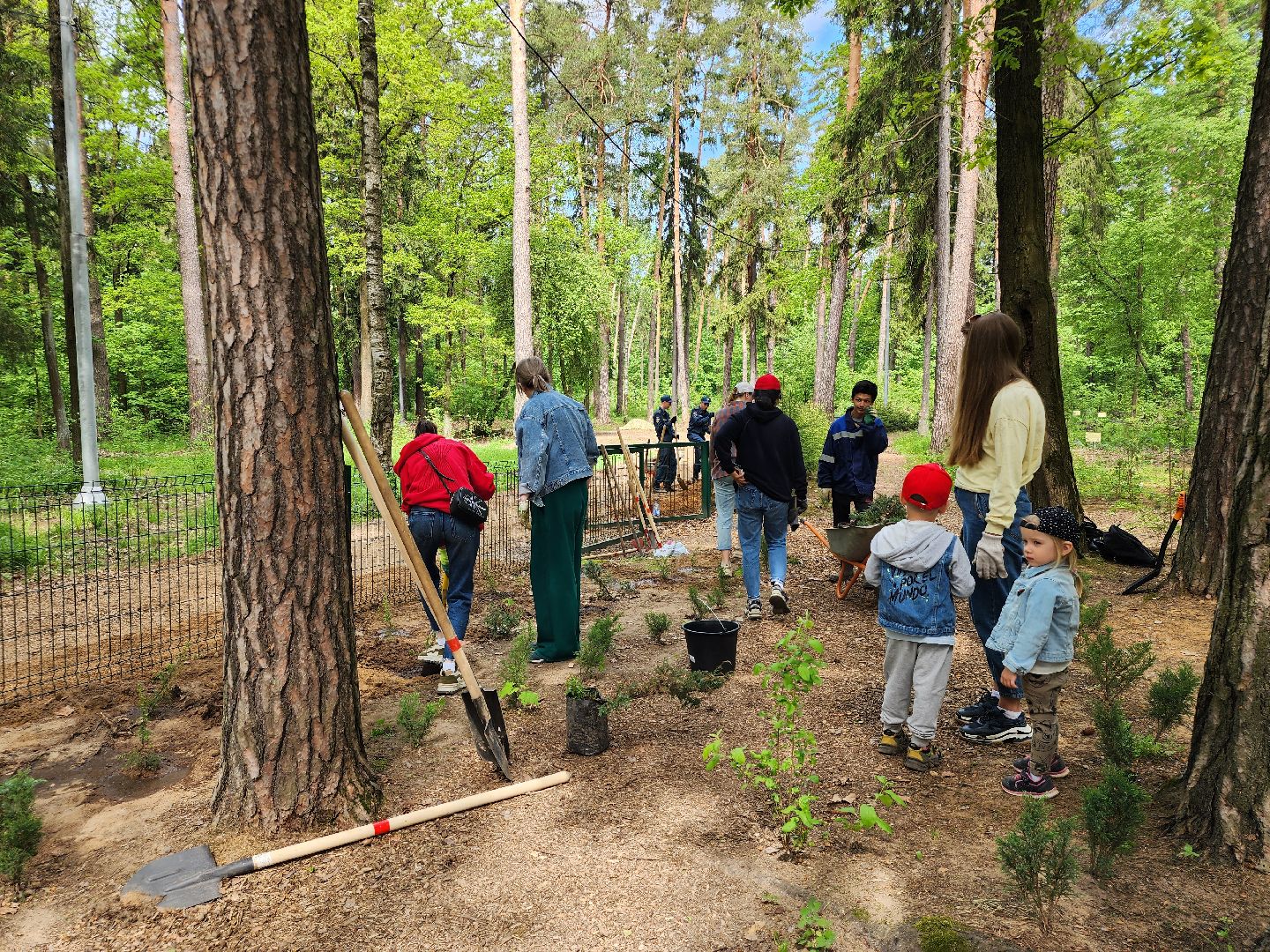 экологическая акция, посадка деревьев, парк Волхонка, Ногинск, Богородский городской округ,