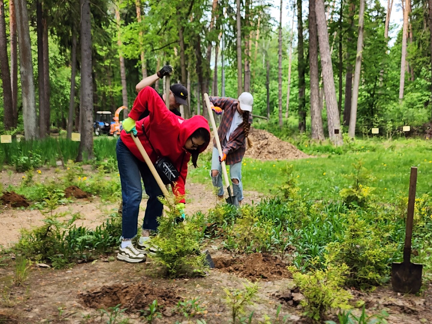 экологическая акция, посадка деревьев, парк Волхонка, Ногинск, Богородский городской округ,