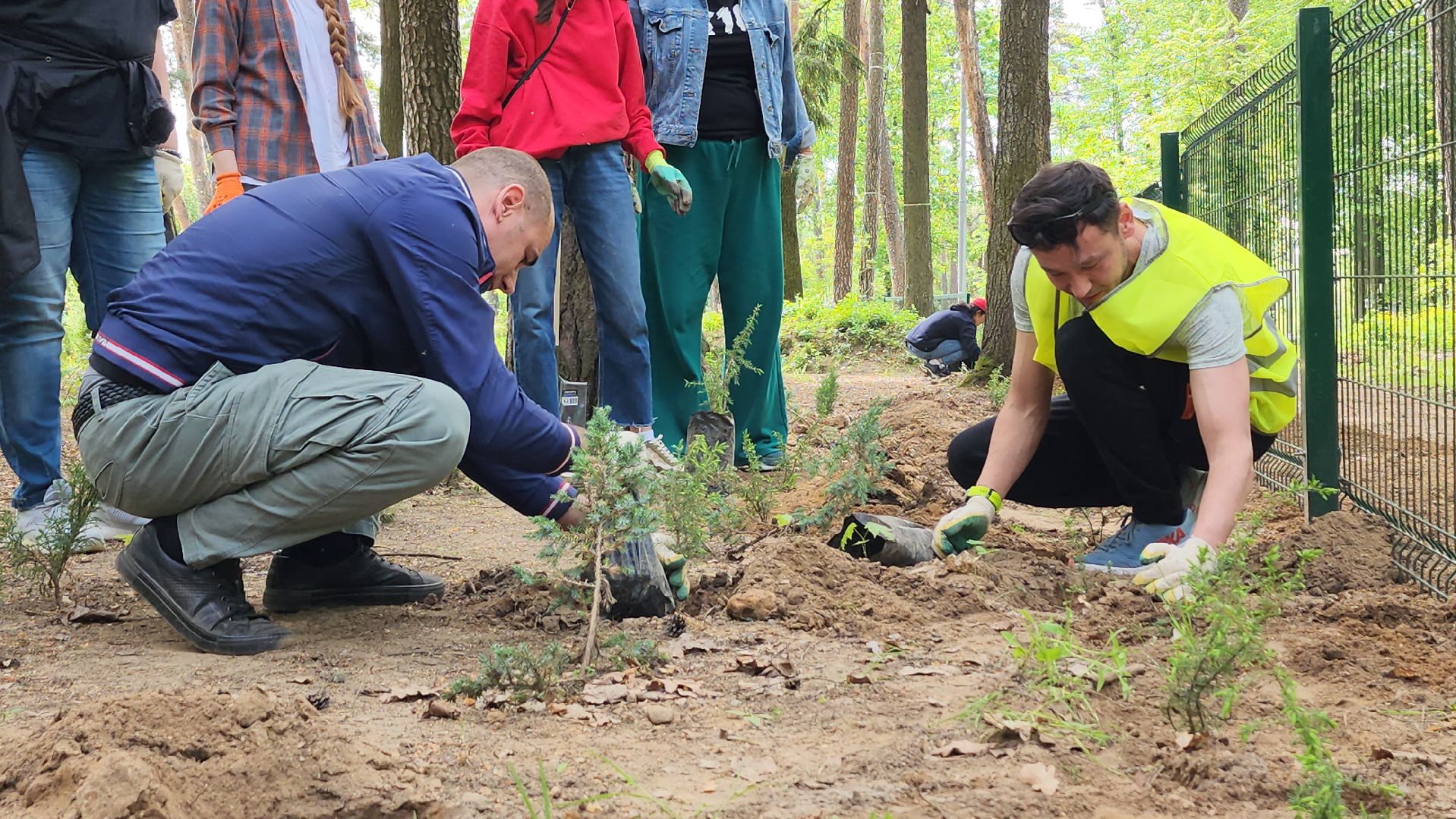 экологическая акция, посадка деревьев, парк Волхонка, Ногинск, Богородский городской округ,