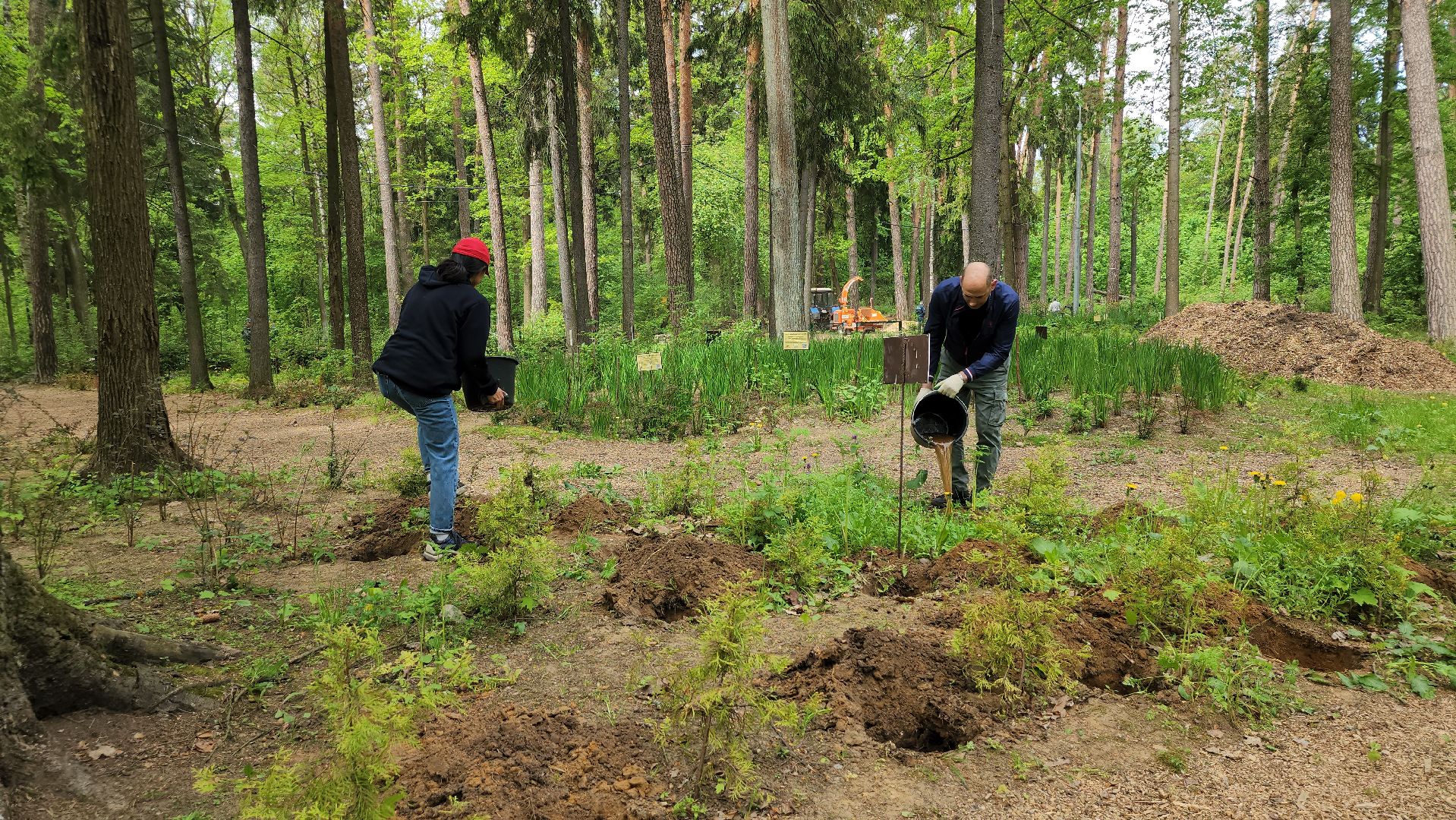 экологическая акция, посадка деревьев, парк Волхонка, Ногинск, Богородский городской округ,