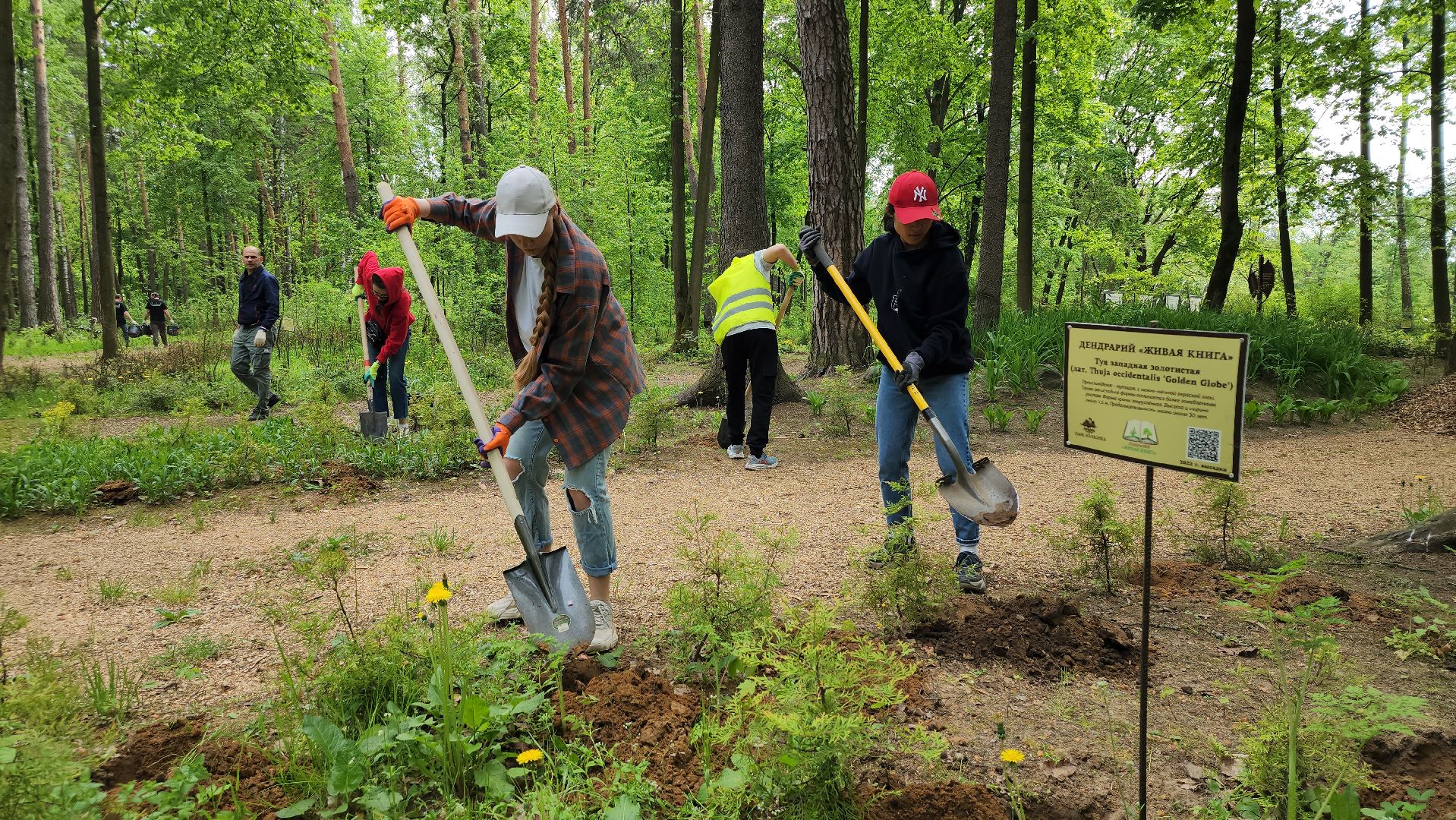 экологическая акция, посадка деревьев, парк Волхонка, Ногинск, Богородский городской округ,
