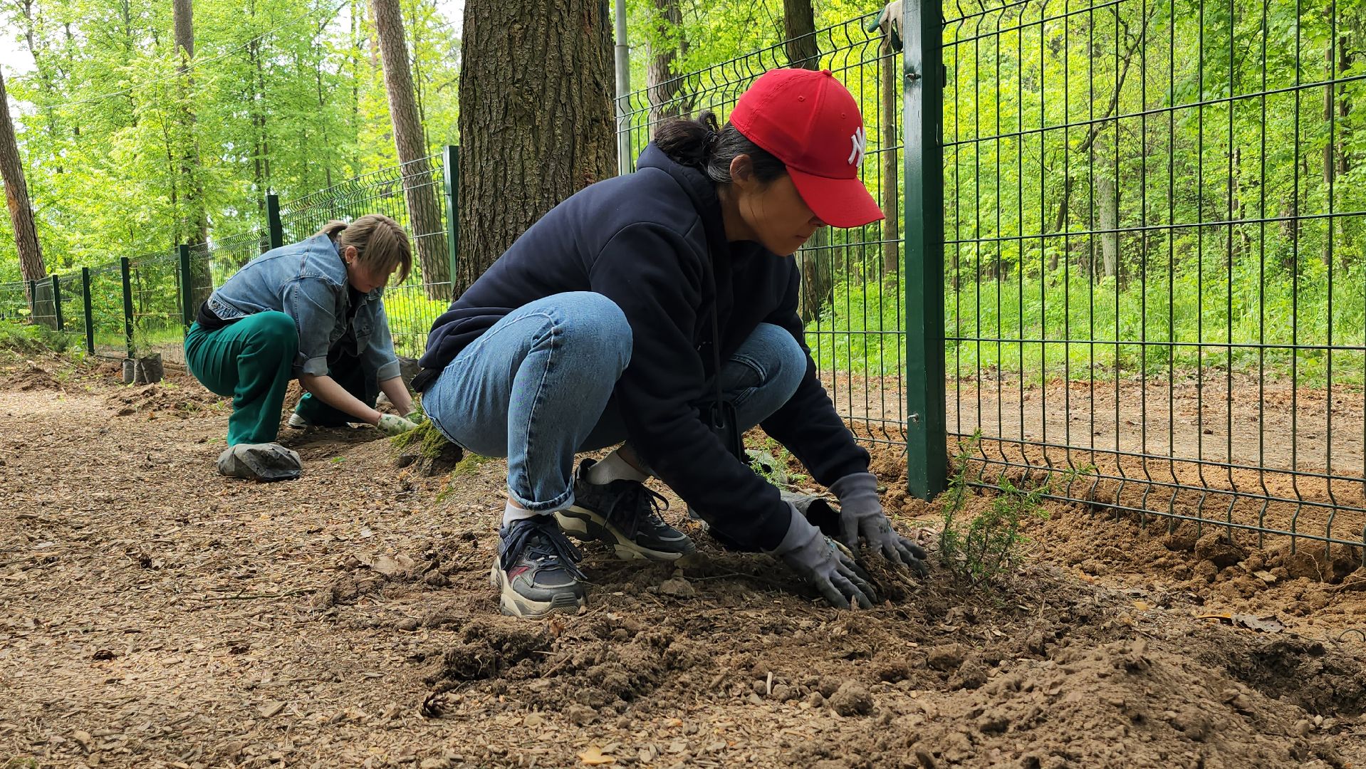 экологическая акция, посадка деревьев, парк Волхонка, Ногинск, Богородский городской округ,