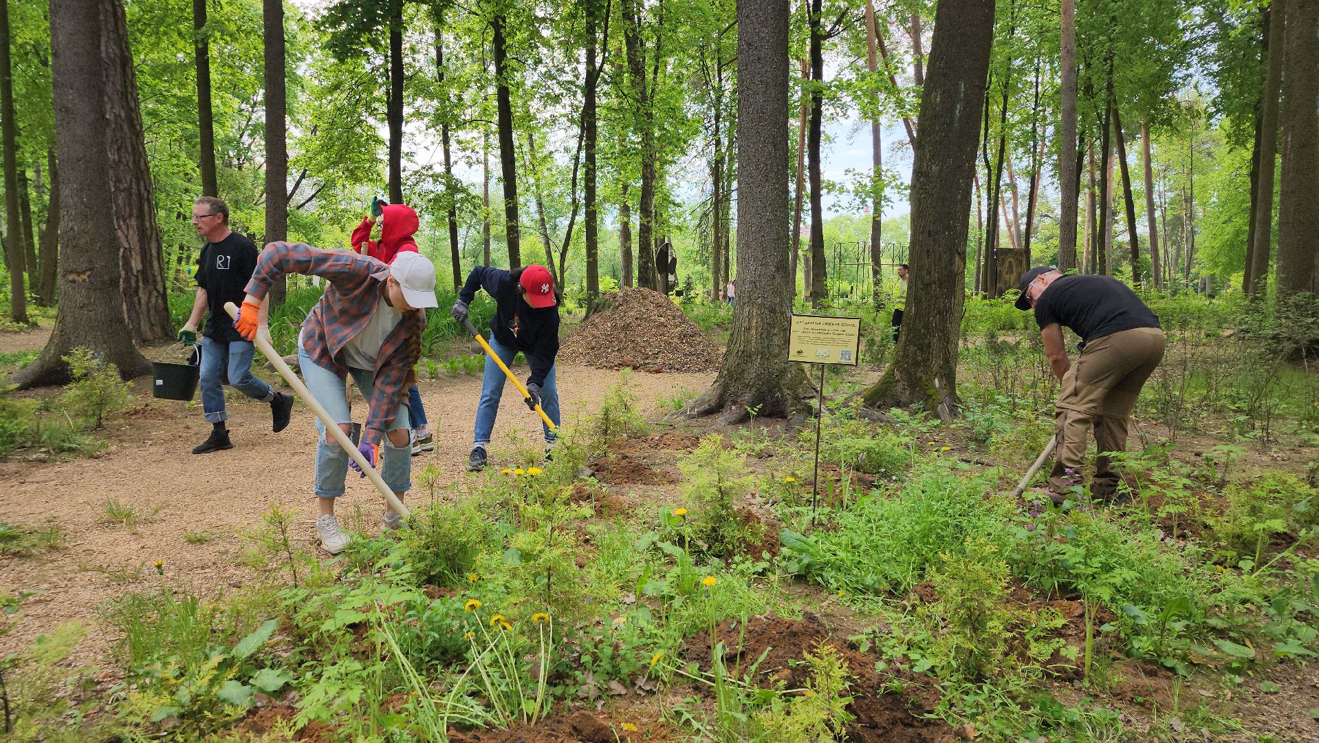 экологическая акция, посадка деревьев, парк Волхонка, Ногинск, Богородский городской округ,