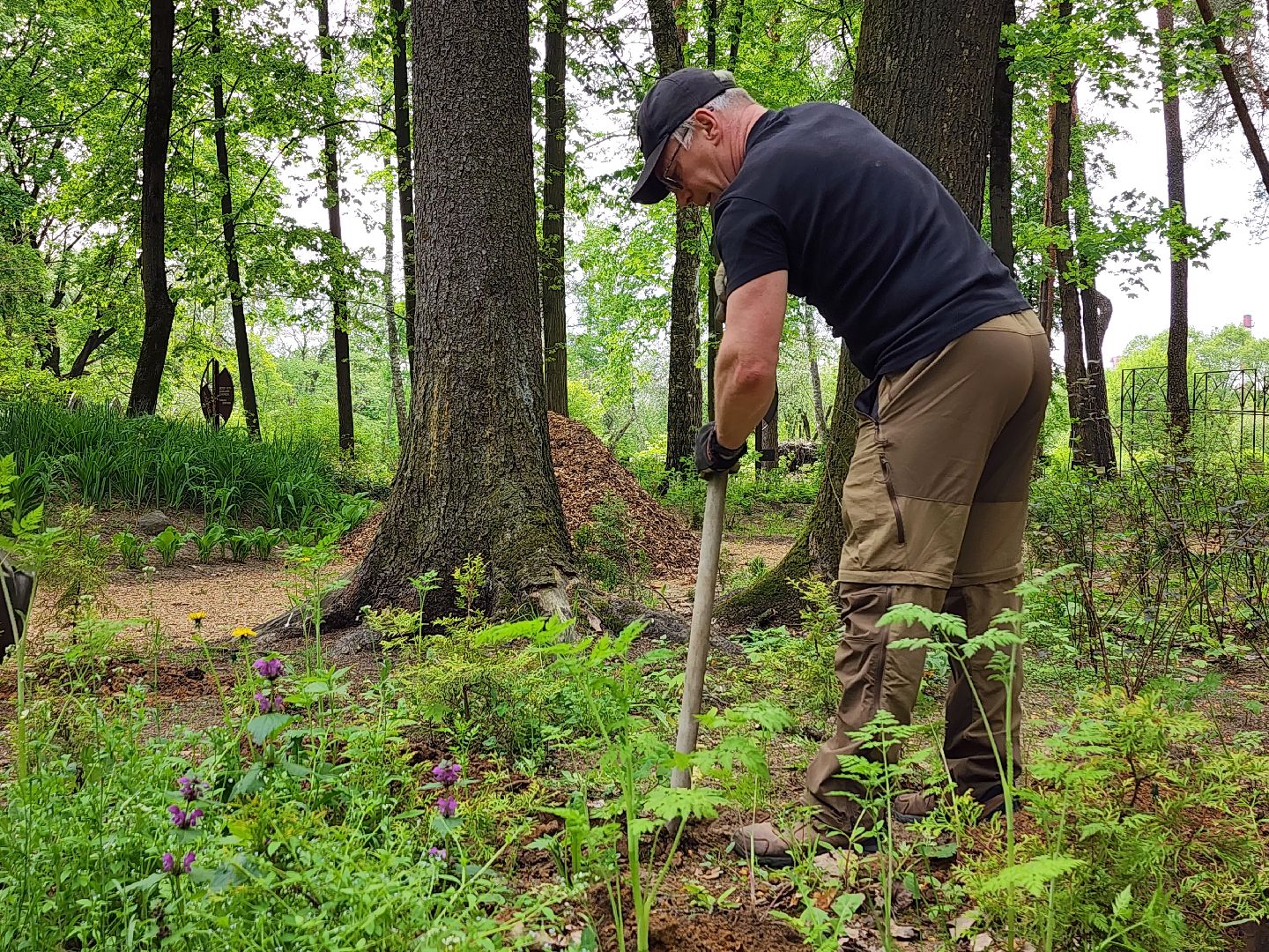 экологическая акция, посадка деревьев, парк Волхонка, Ногинск, Богородский городской округ,