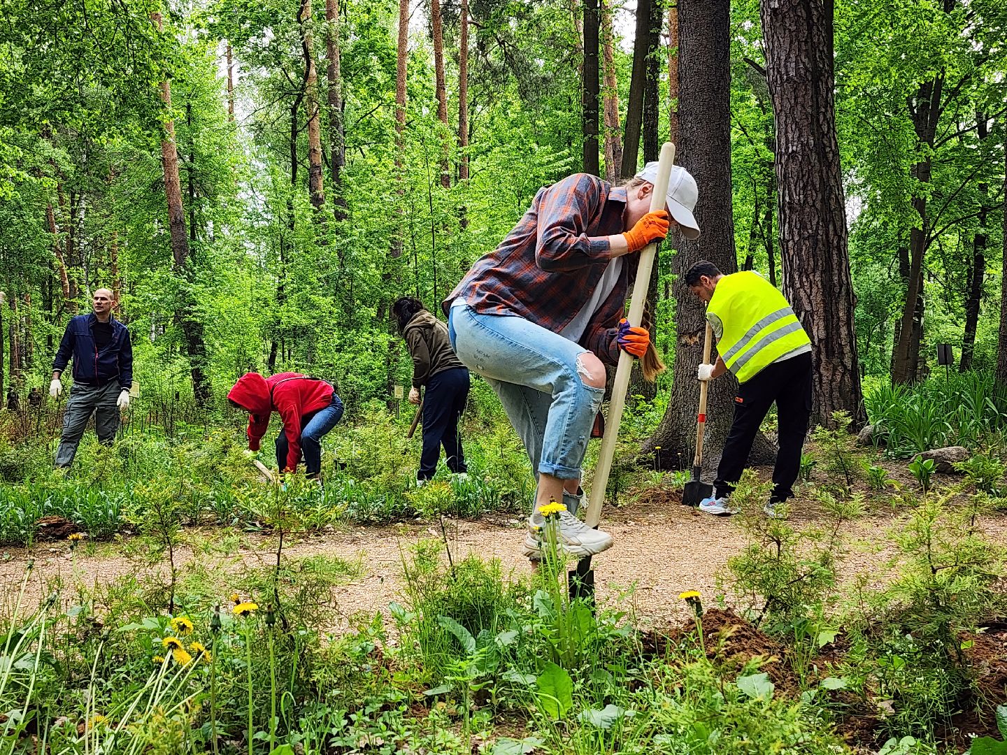 экологическая акция, посадка деревьев, парк Волхонка, Ногинск, Богородский городской округ,