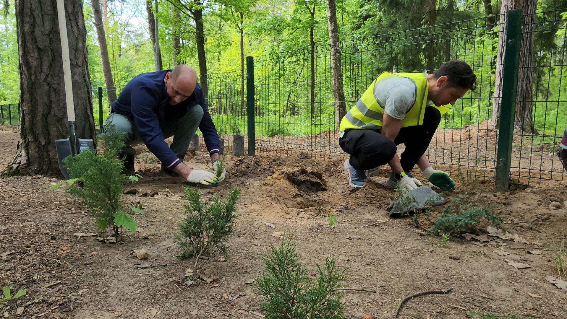 экологическая акция, посадка деревьев, парк Волхонка, Ногинск, Богородский городской округ,
