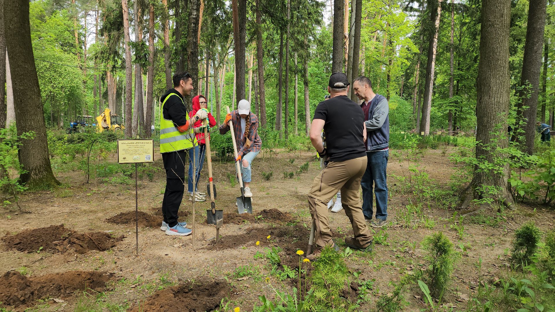 экологическая акция, посадка деревьев, парк Волхонка, Ногинск, Богородский городской округ,