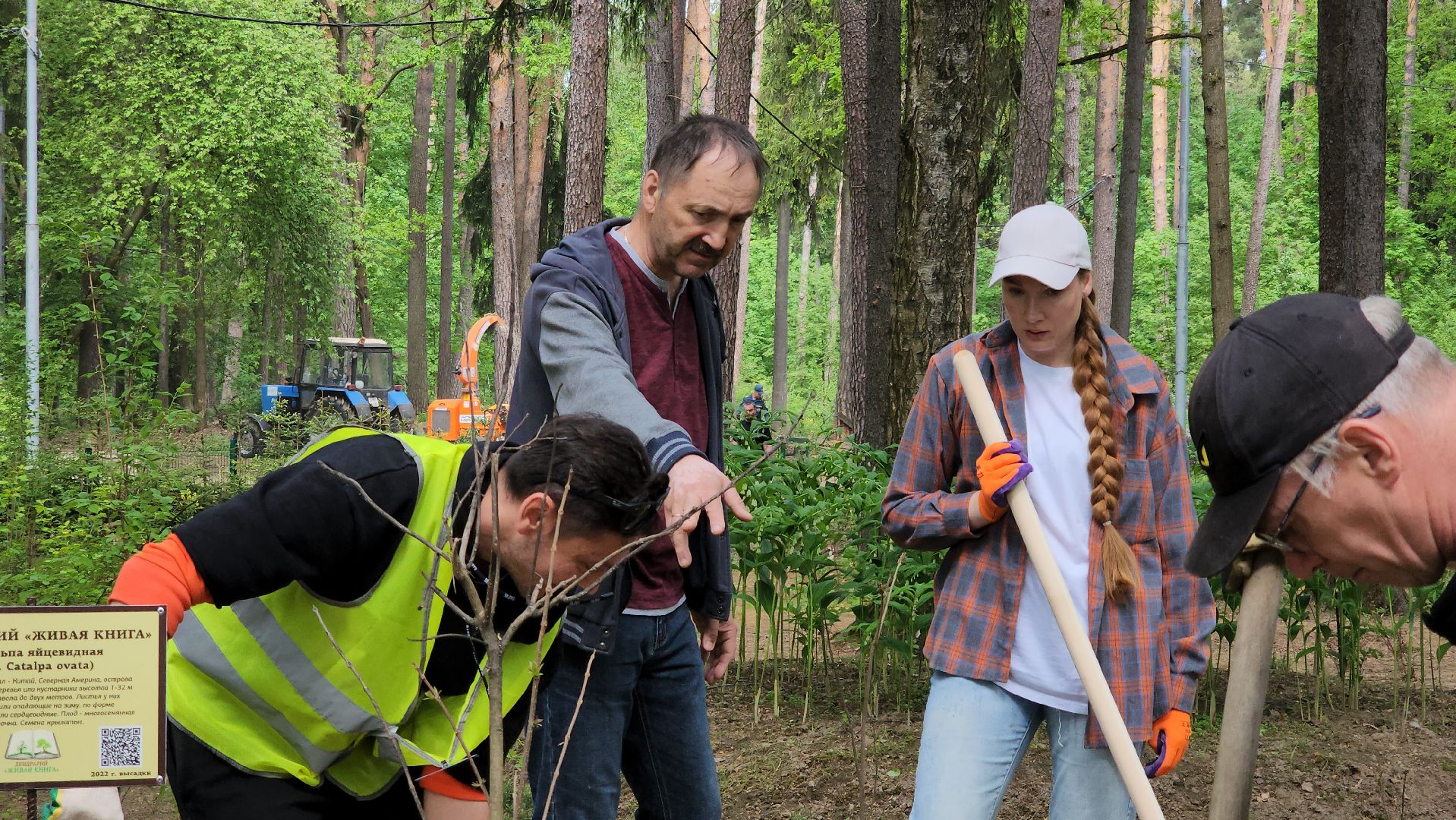 экологическая акция, посадка деревьев, парк Волхонка, Ногинск, Богородский городской округ,